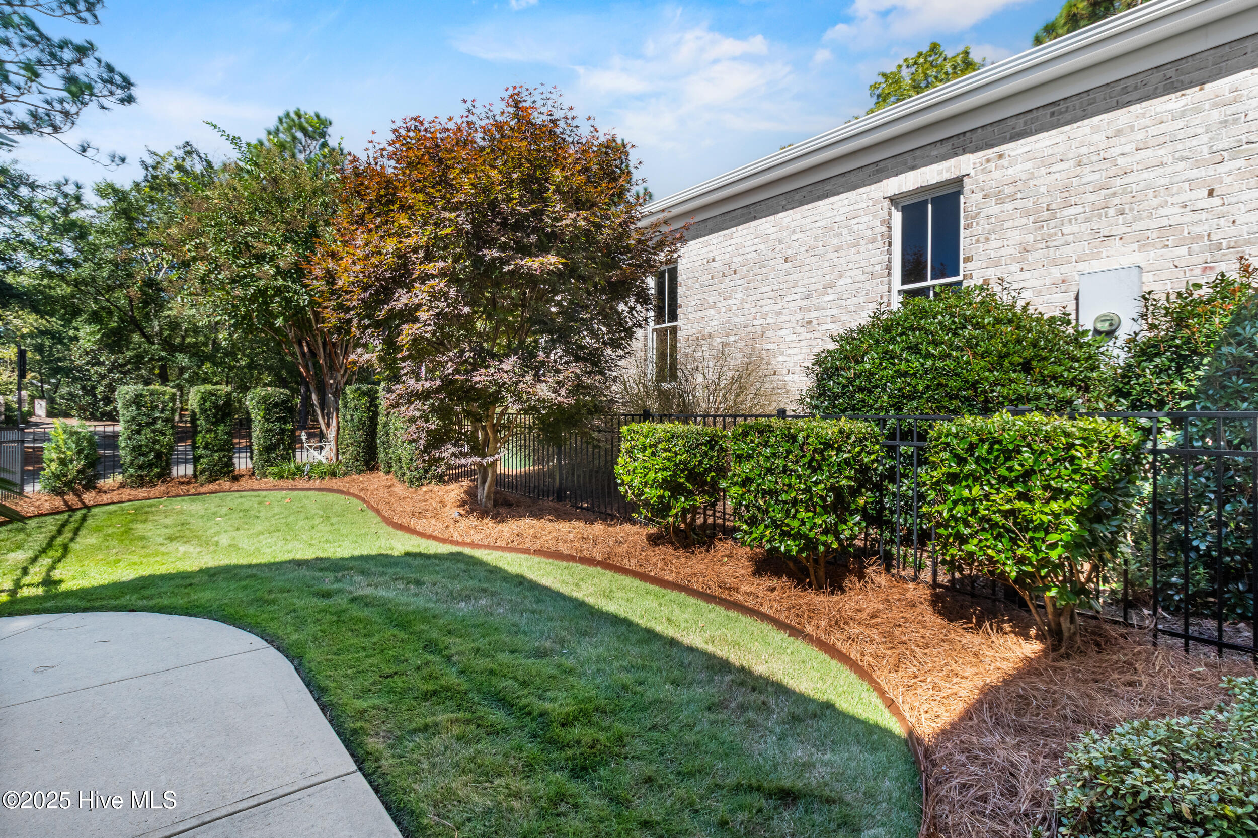 100537766 | Photo 50