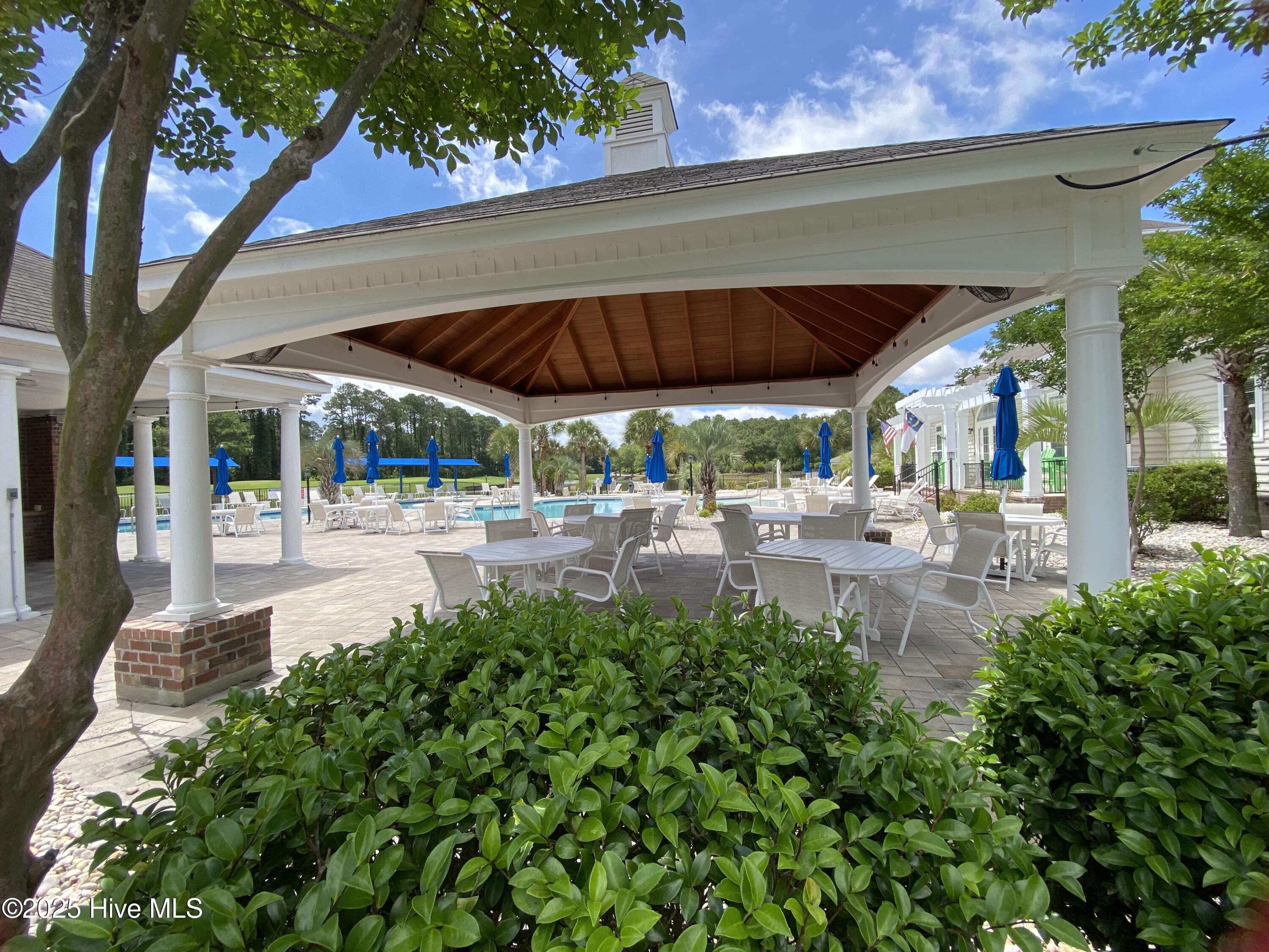 100539119 | Photo 59