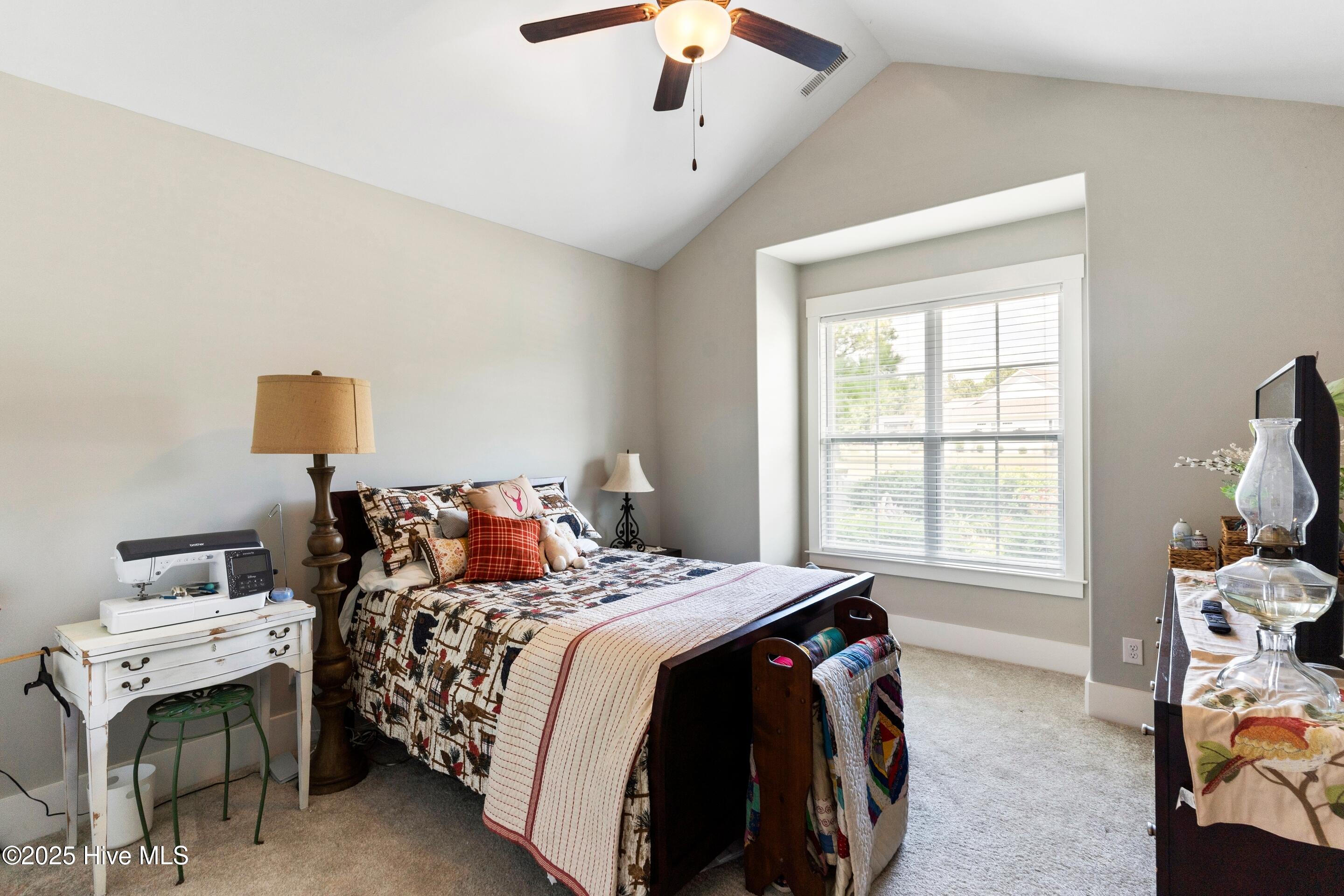 100527117 | Photo 26