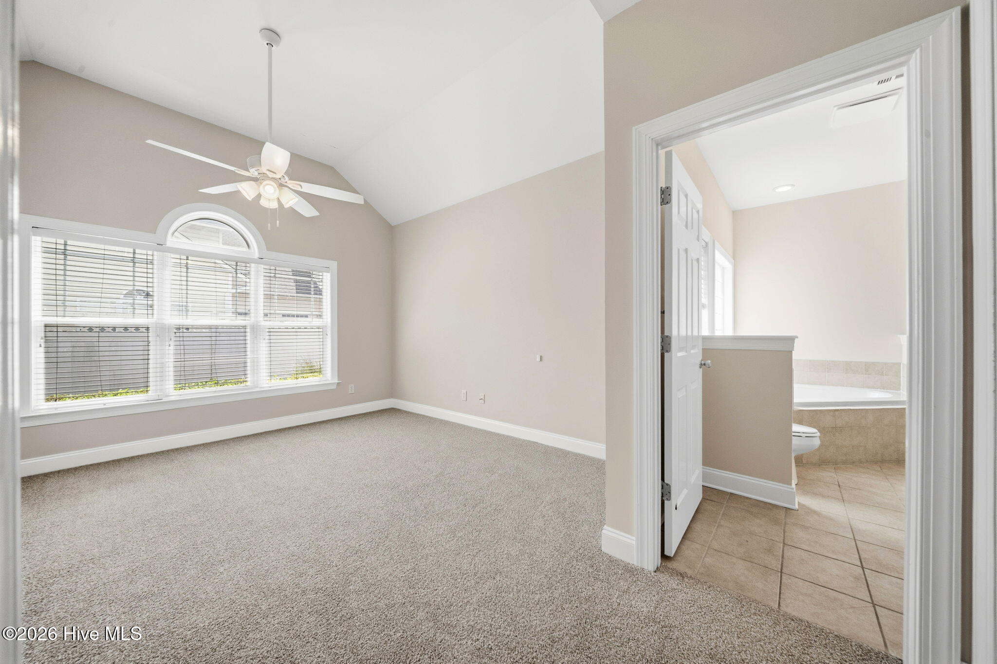 100566234 | Photo 46