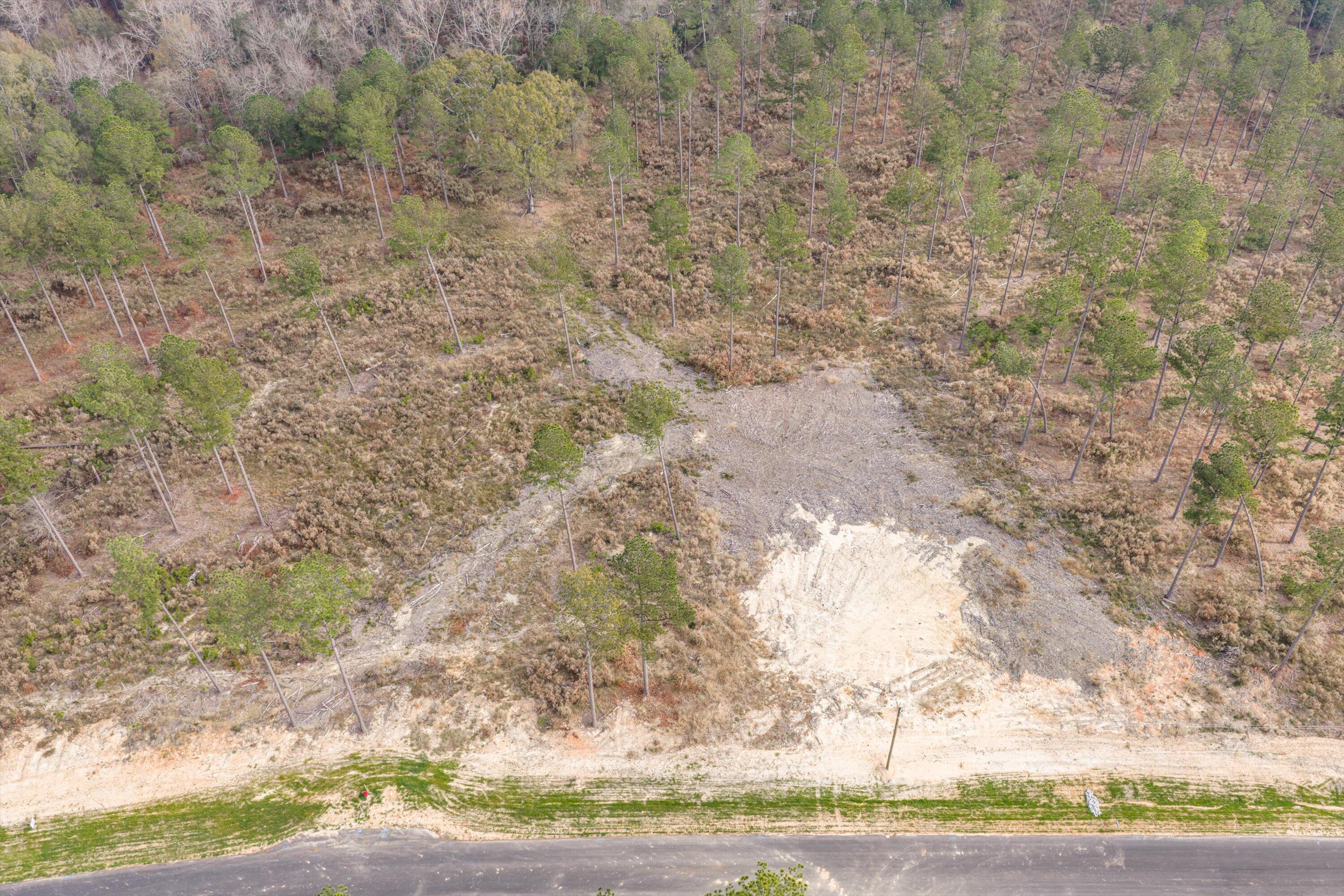 135 Beagle Chase Drive, Appling, GA, 30802