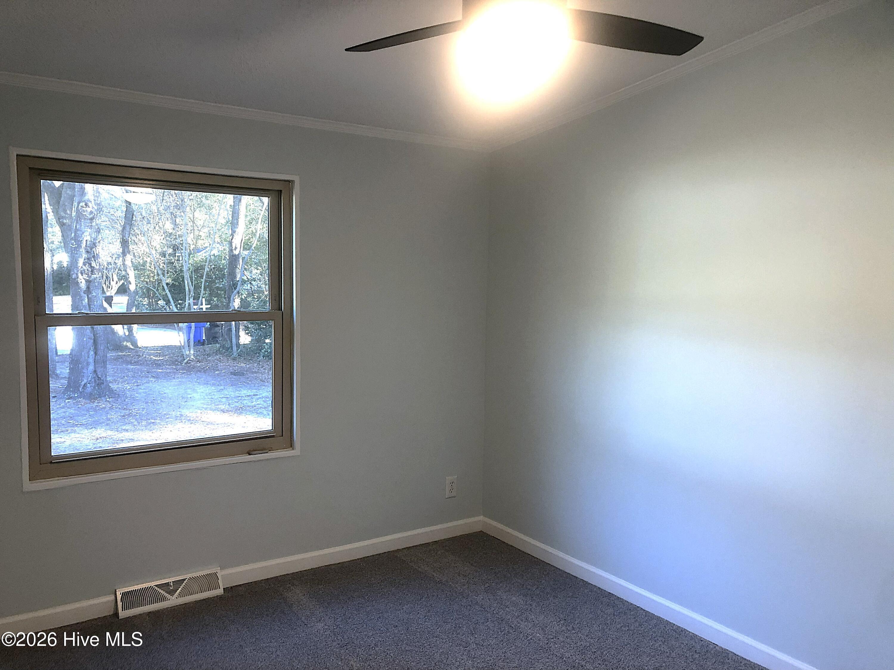 100549339 | Photo 25