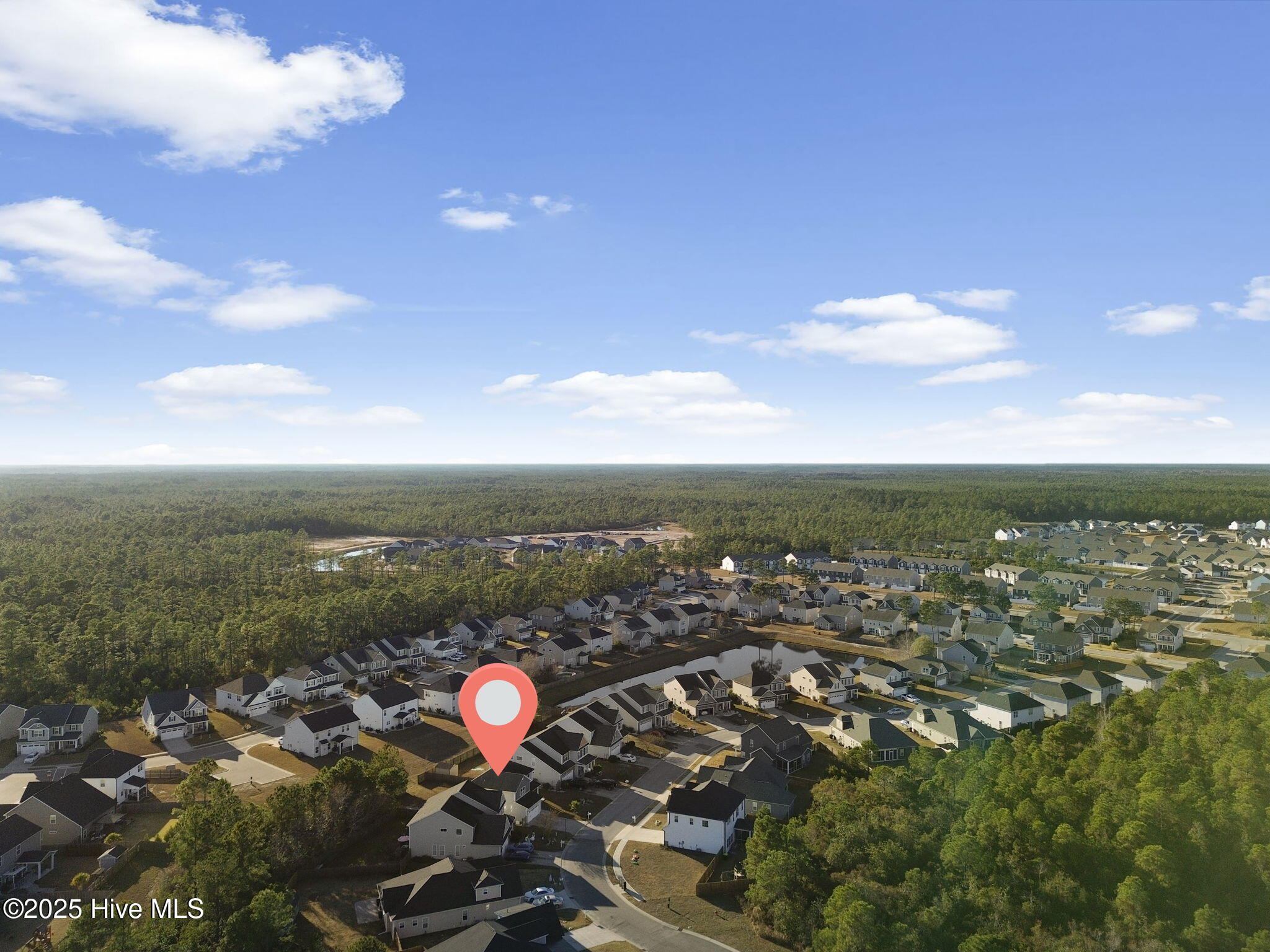 100546539 | Photo 31