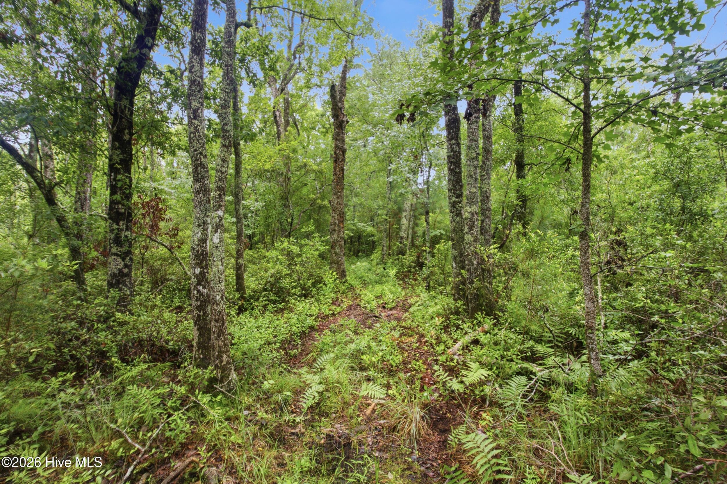 305 Tropical Trail,Beaufort