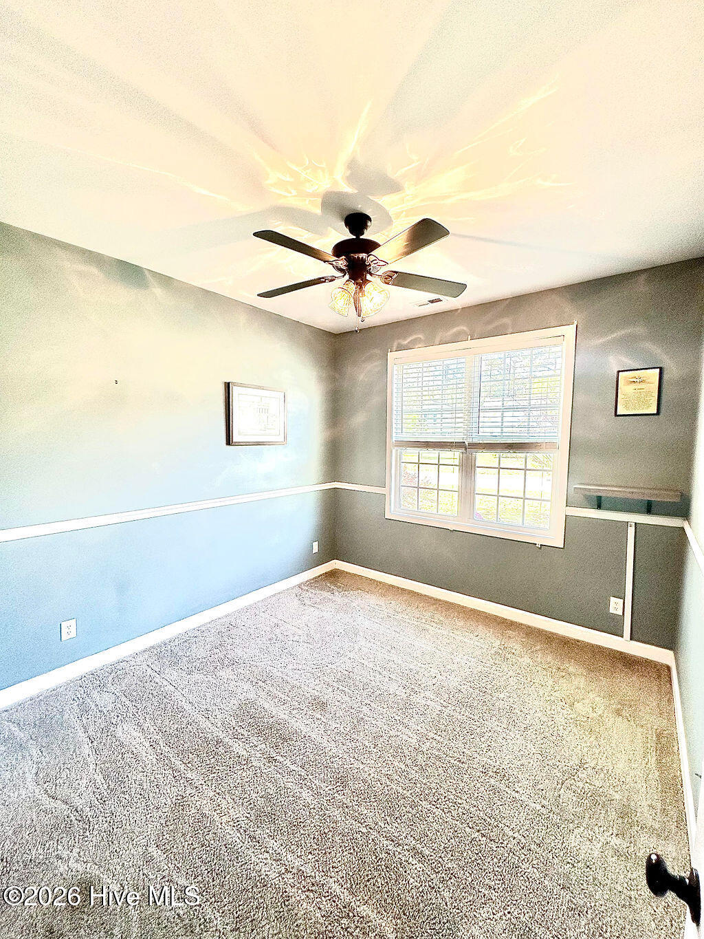 100565525 | Photo 19