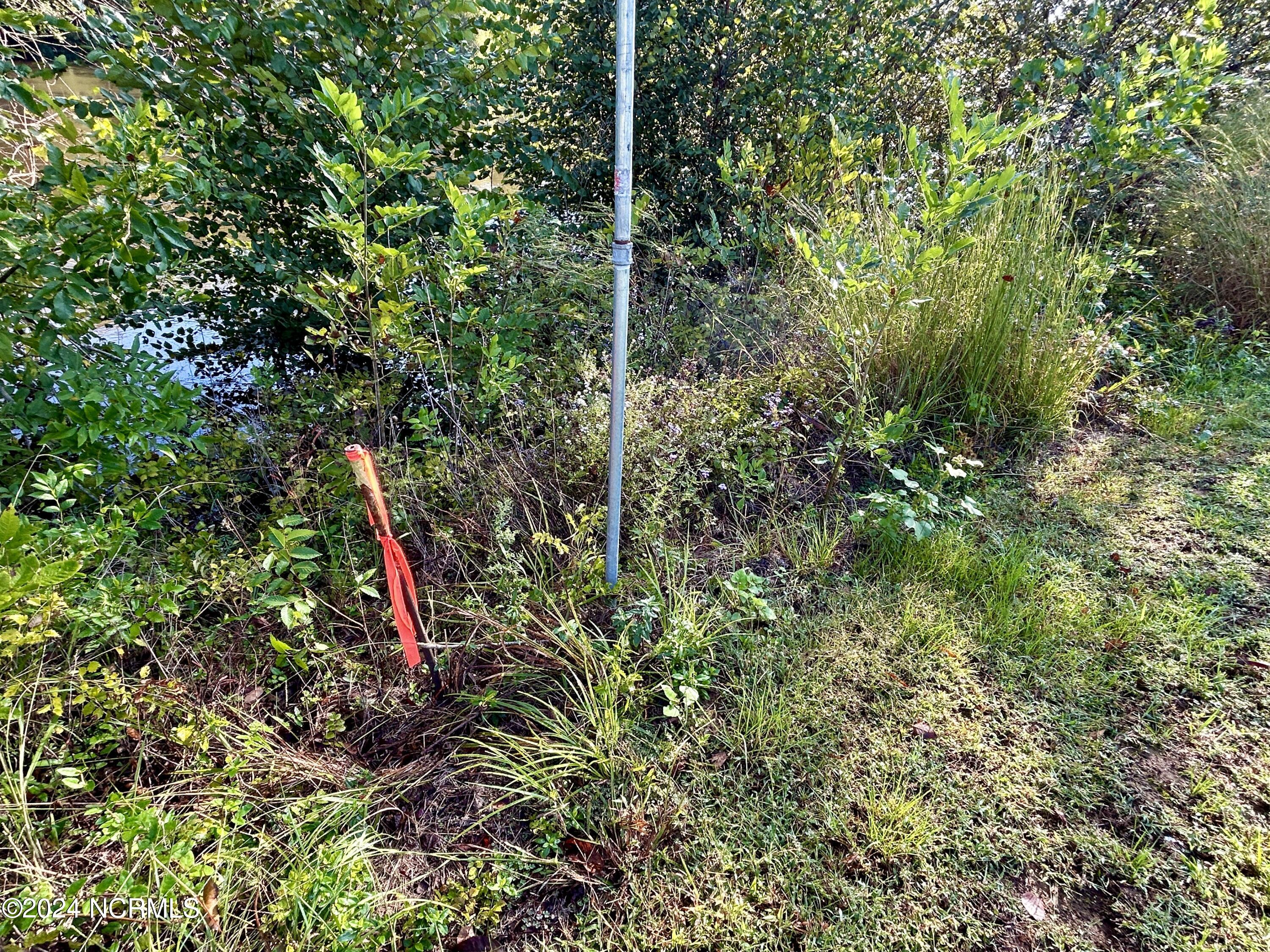 survey markers