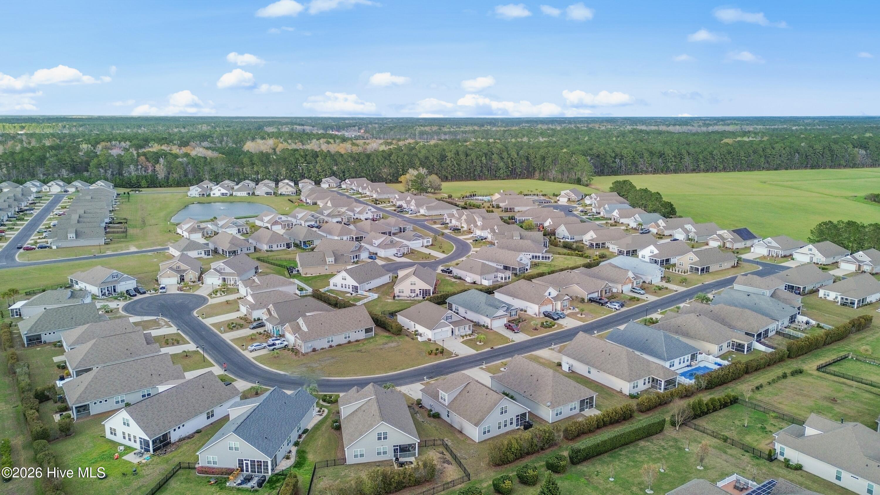 100560000 | Photo 31