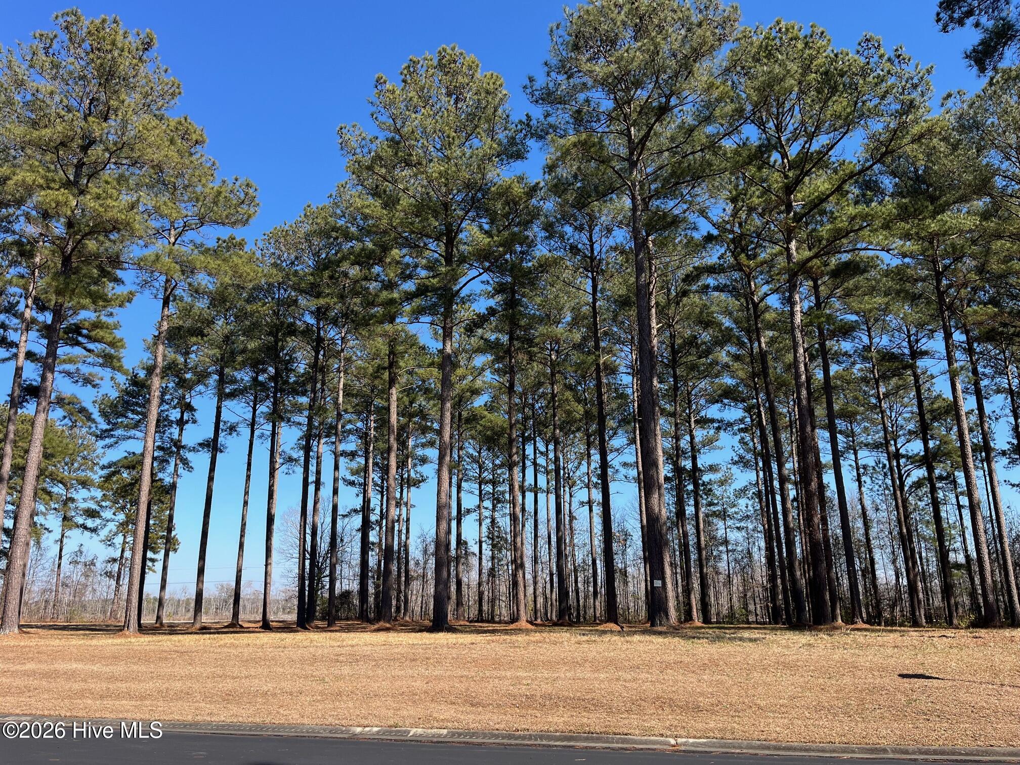 2 122 Bald Head Island Court S,Oriental