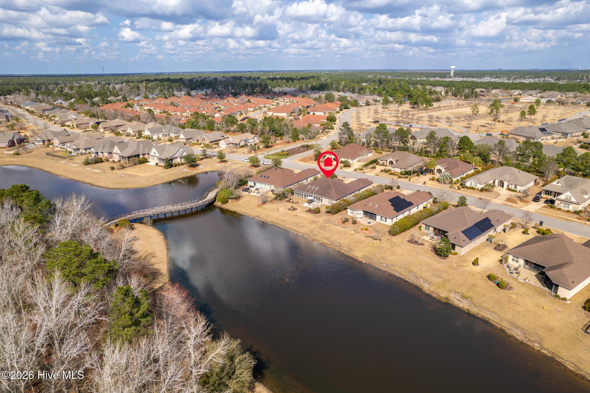 100559631 | Photo 47