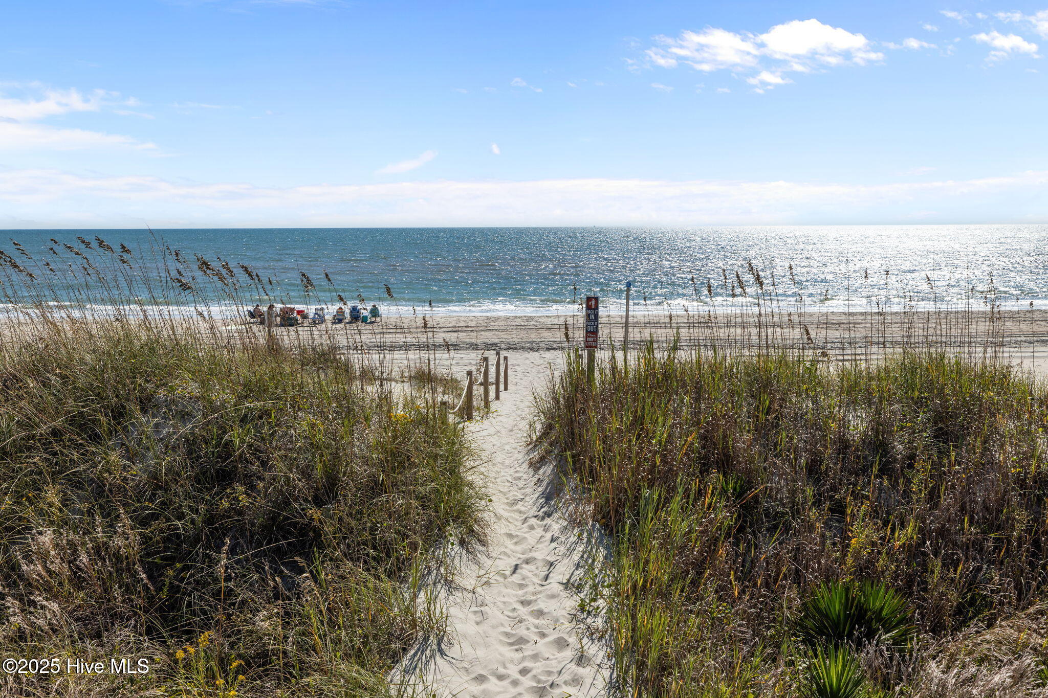 100537842 | Photo 53