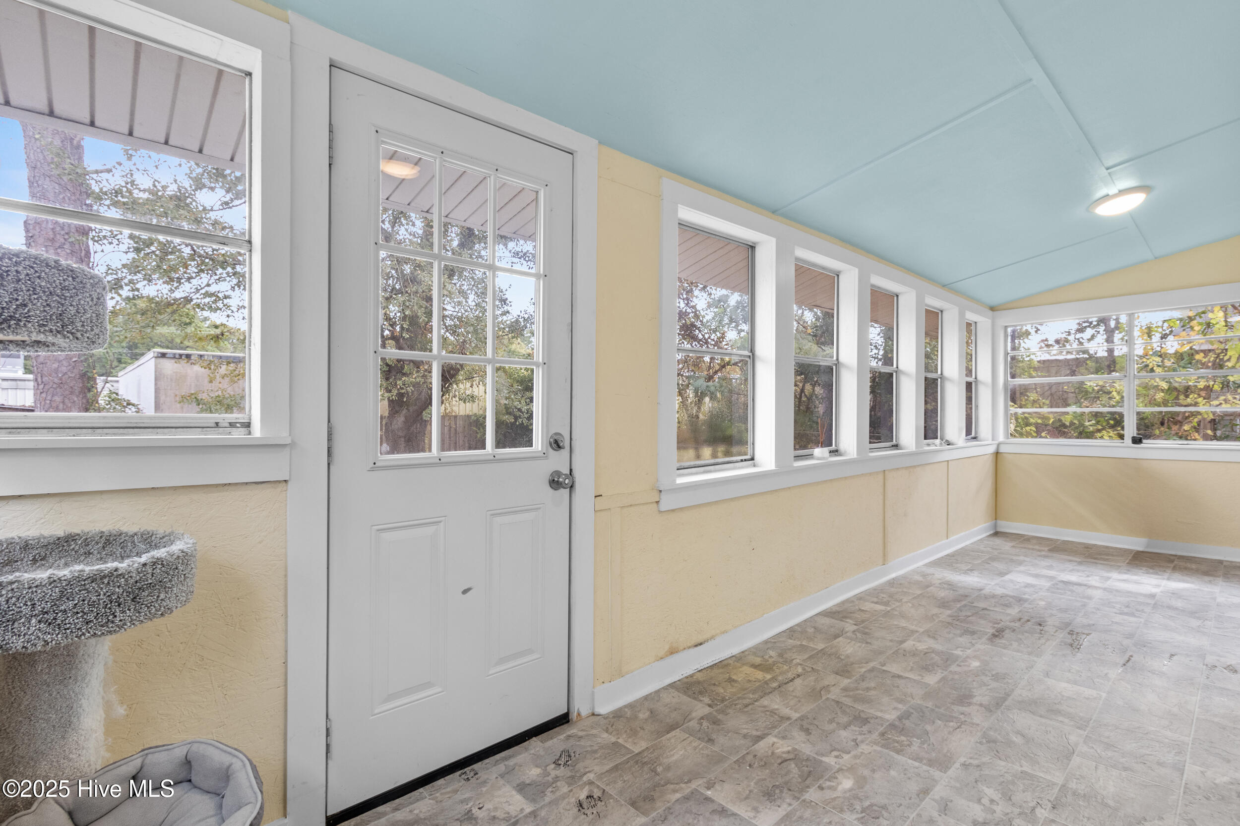 100520819 | Photo 17