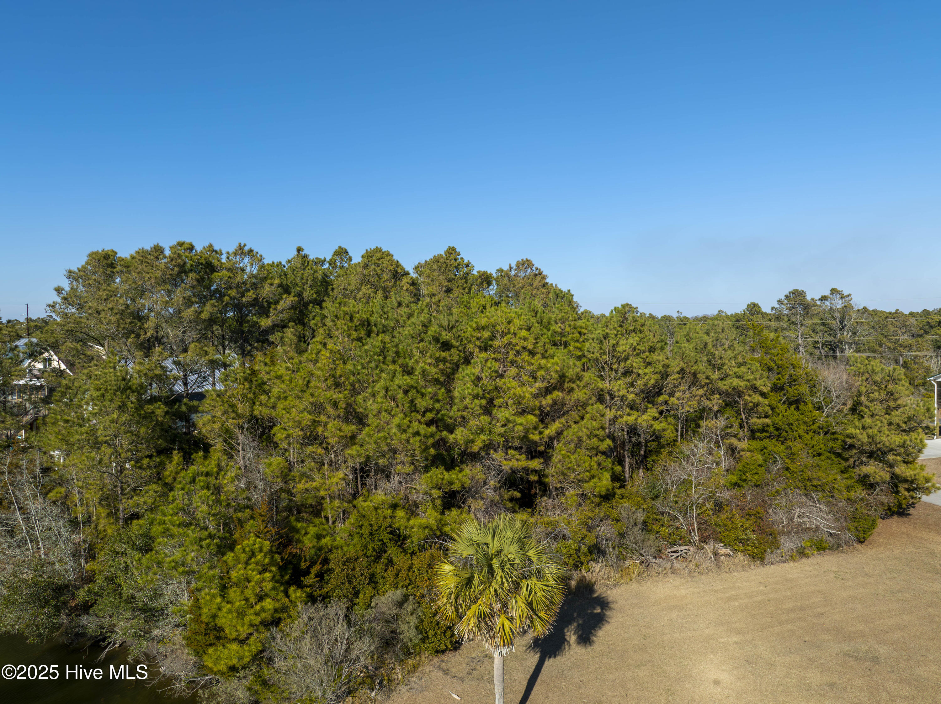 100554512 | Photo 22