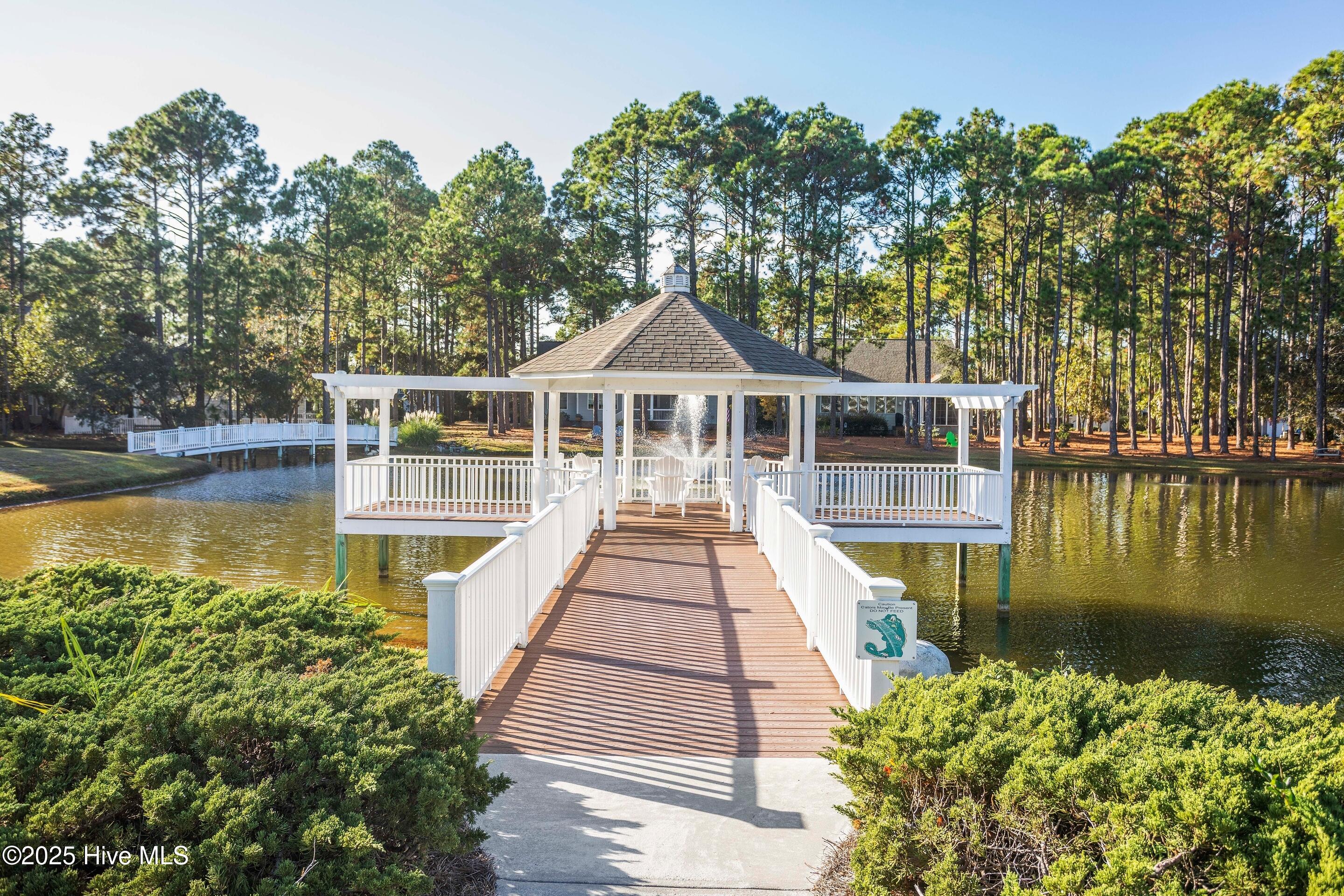 100525982 | Photo 72