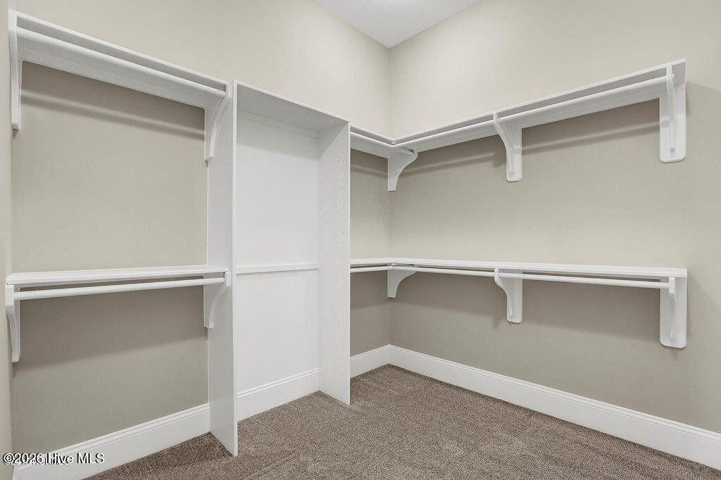 100558506 | Photo 23