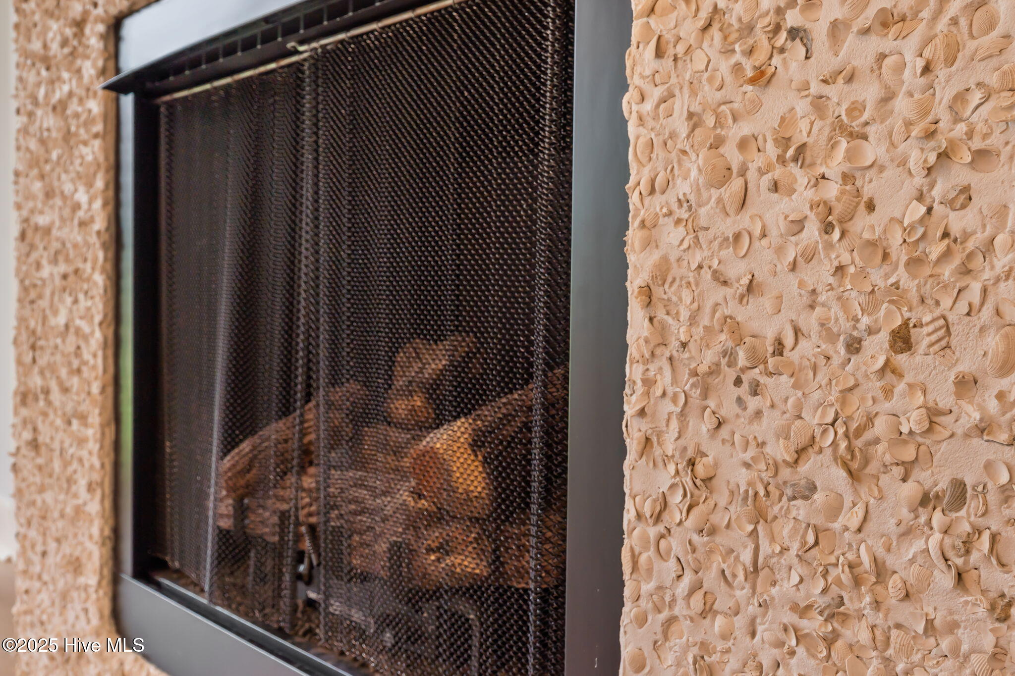 100525046 | Photo 11