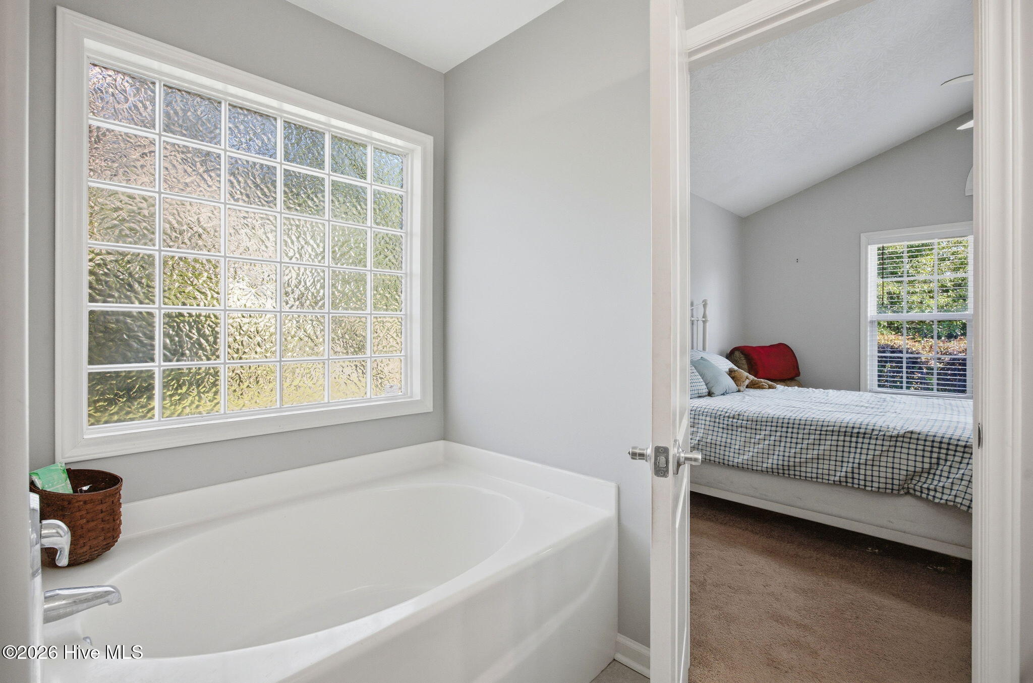 100567887 | Photo 20