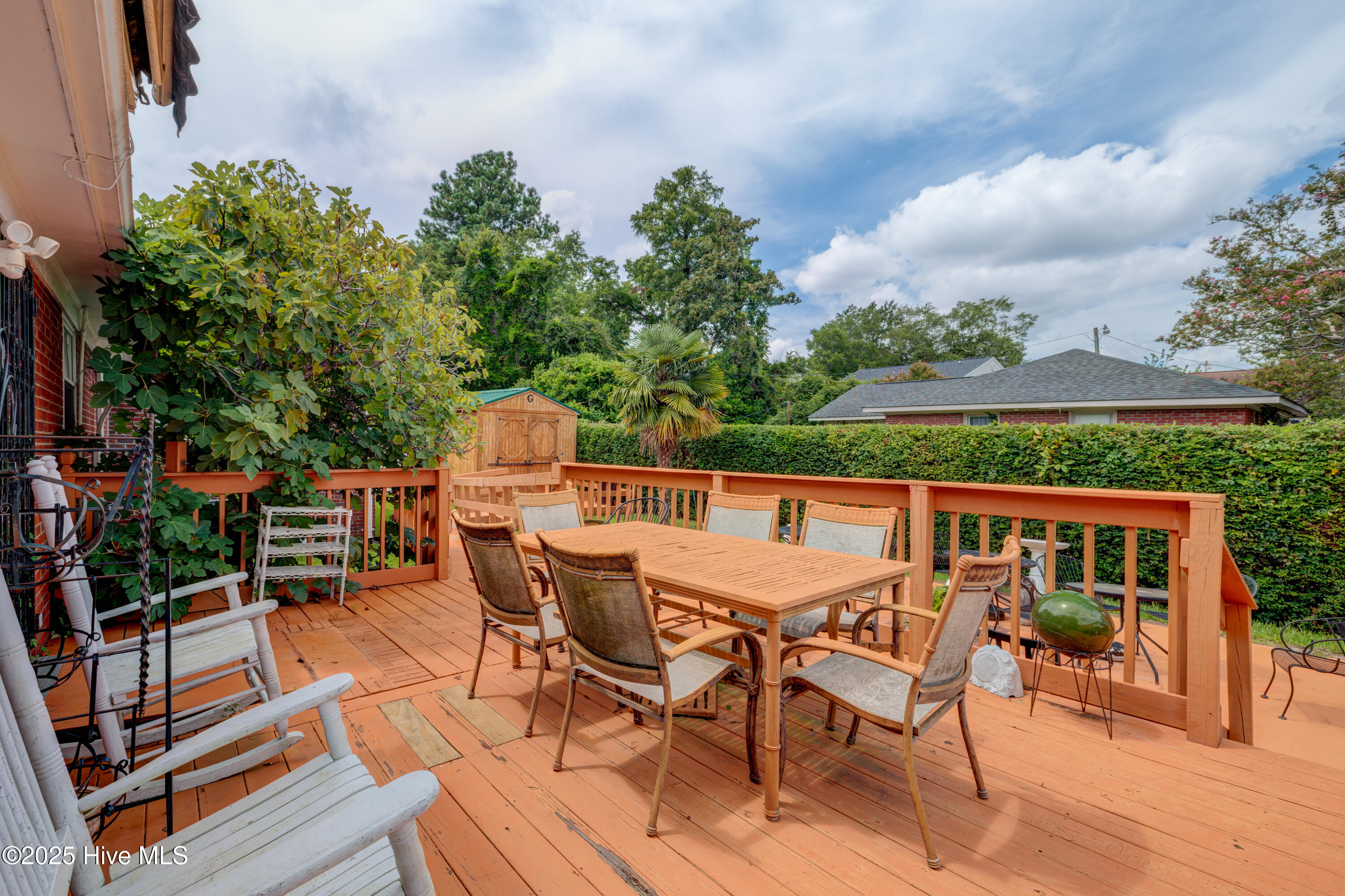 100523931 | Photo 47