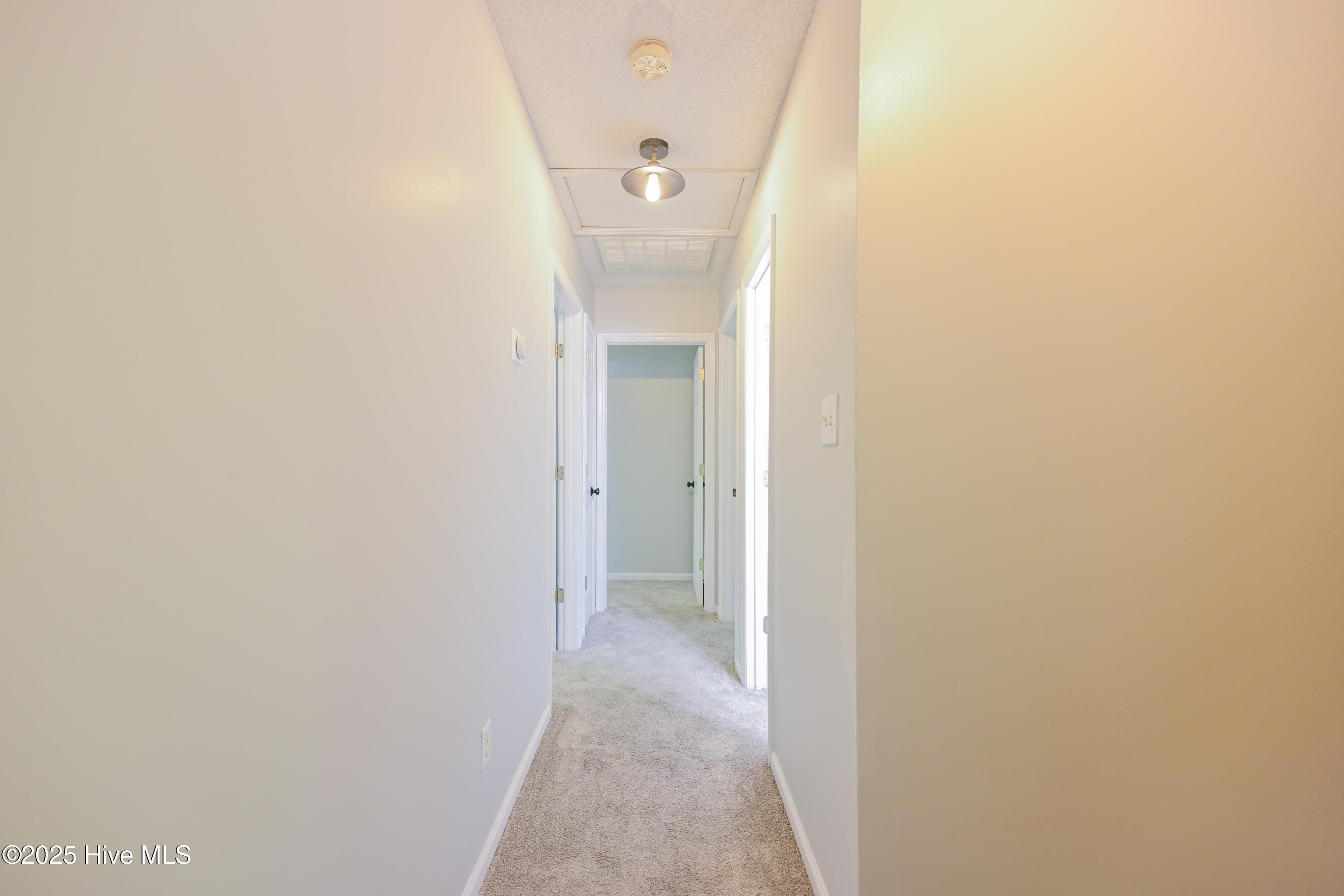 100523748 | Photo 33