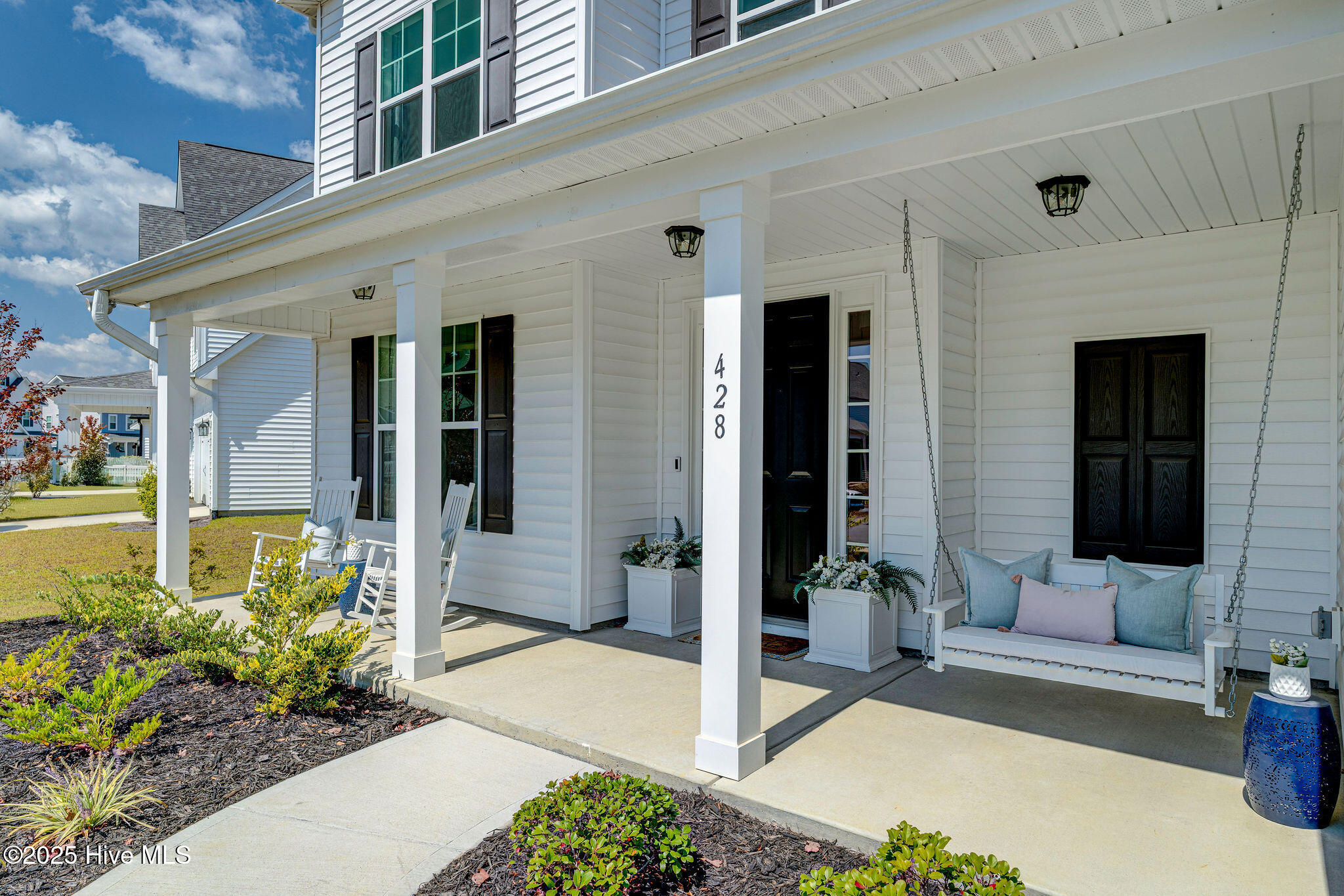 428NorthernPintailFinal-7