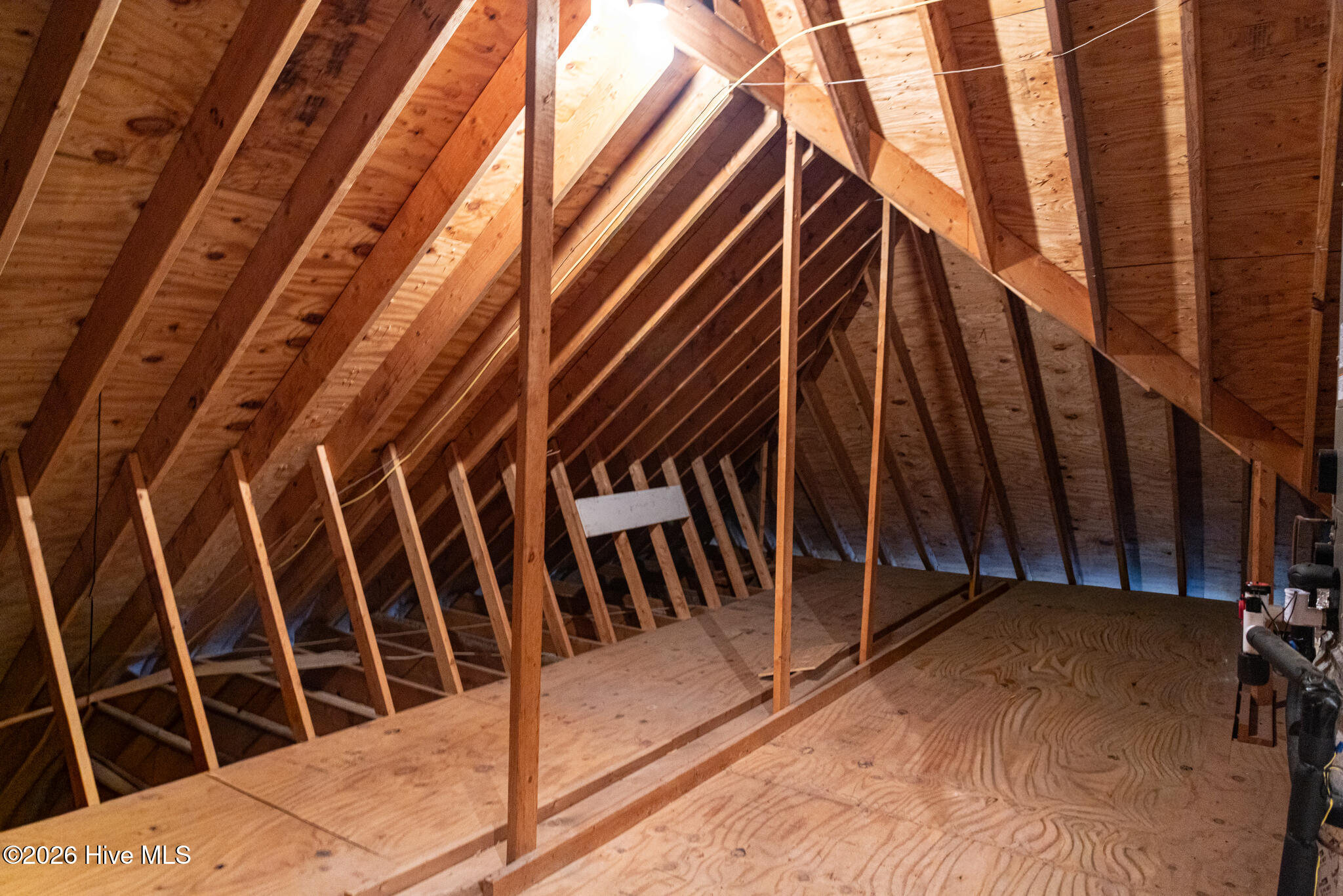 100547125 | Photo 36