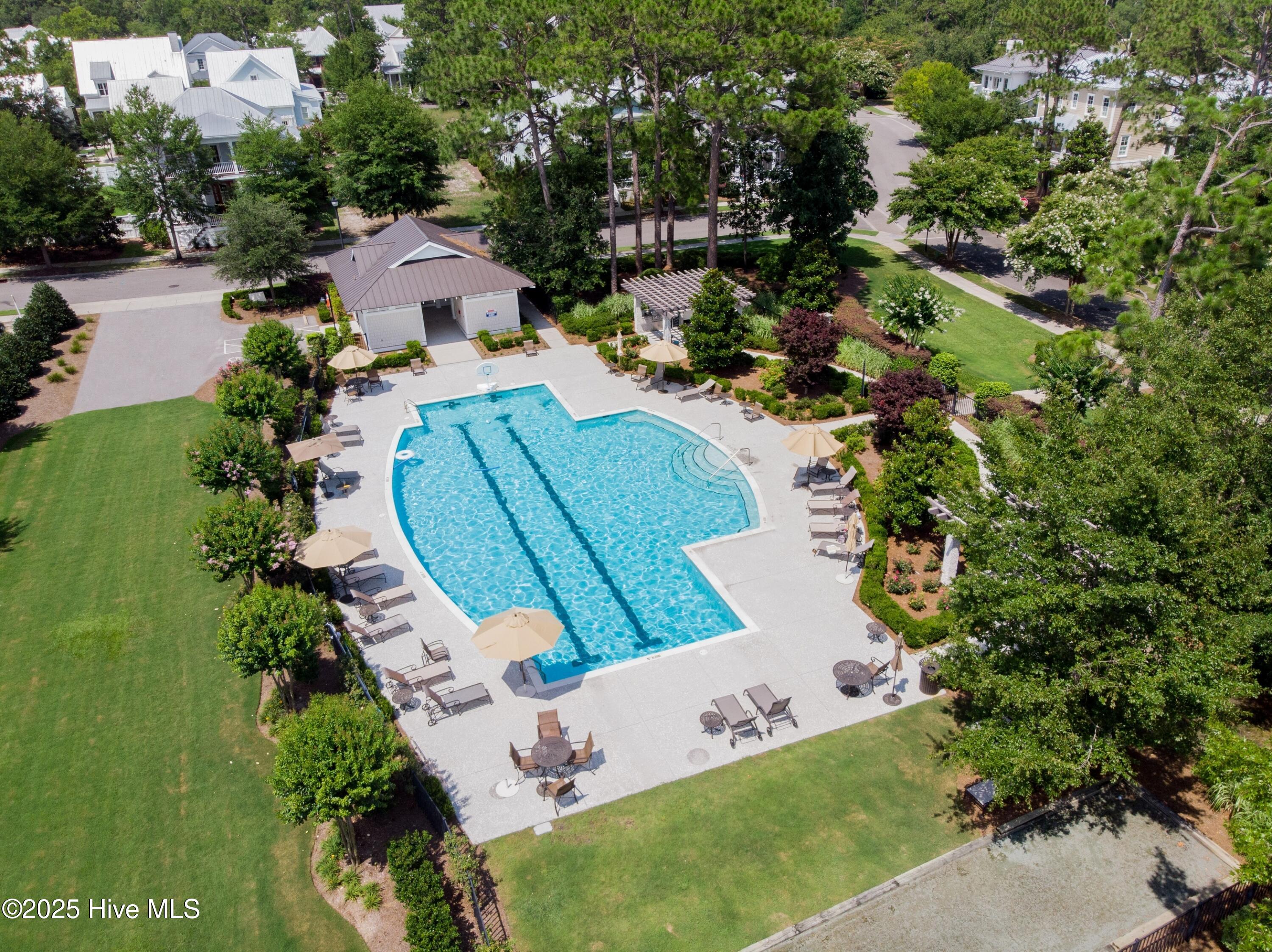 100542273 | Photo 80