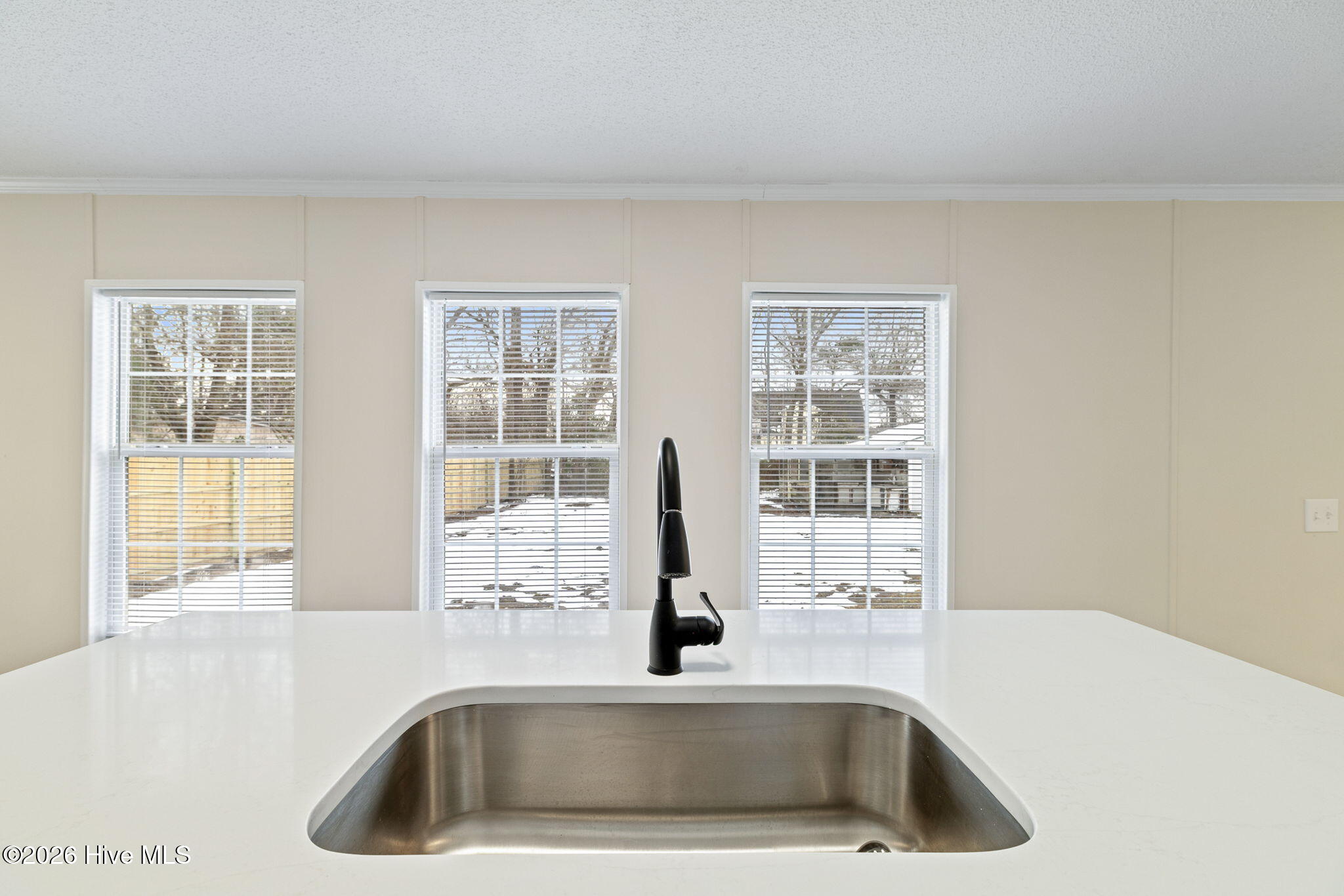 100552963 | Photo 24