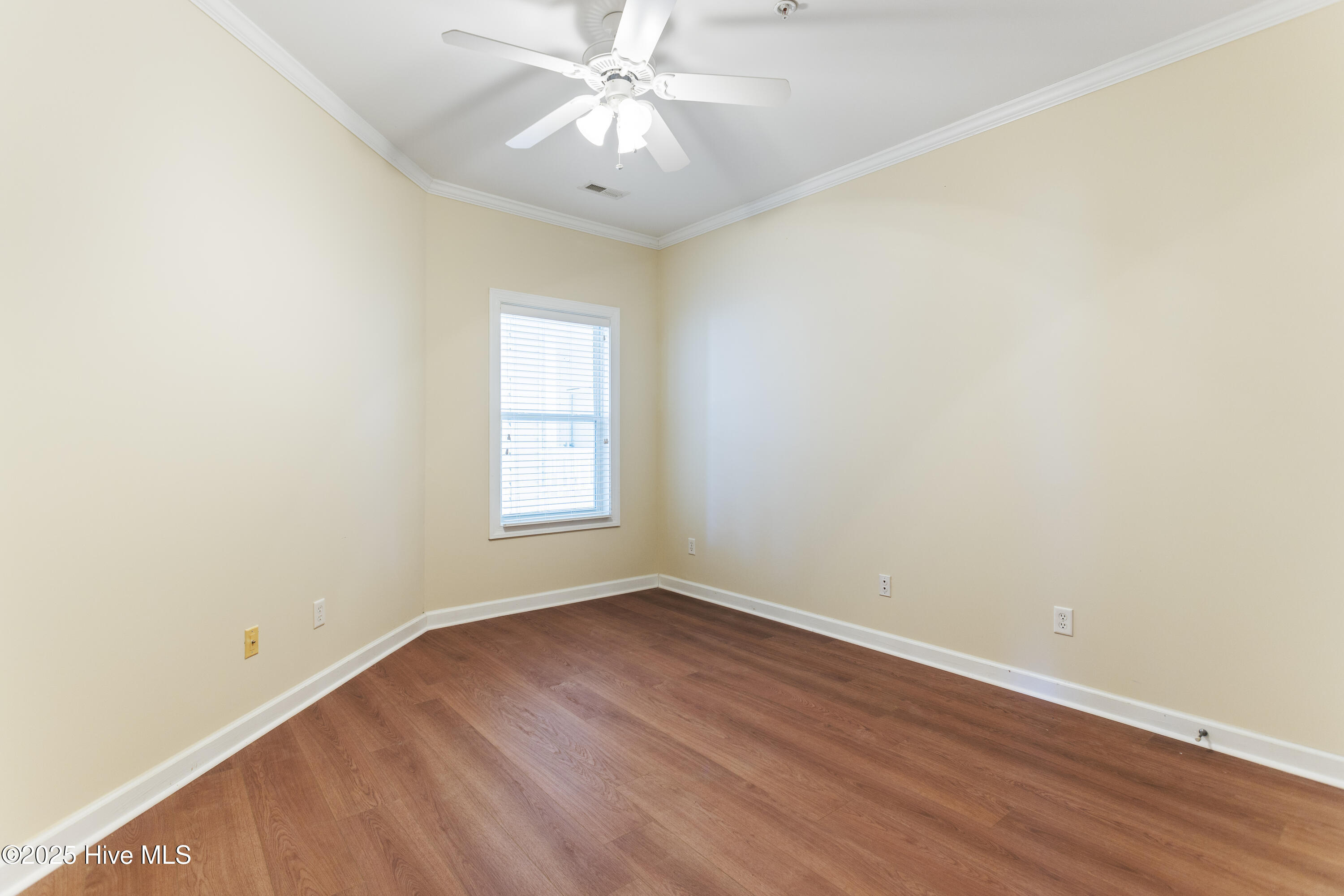 100486199 | Photo 31