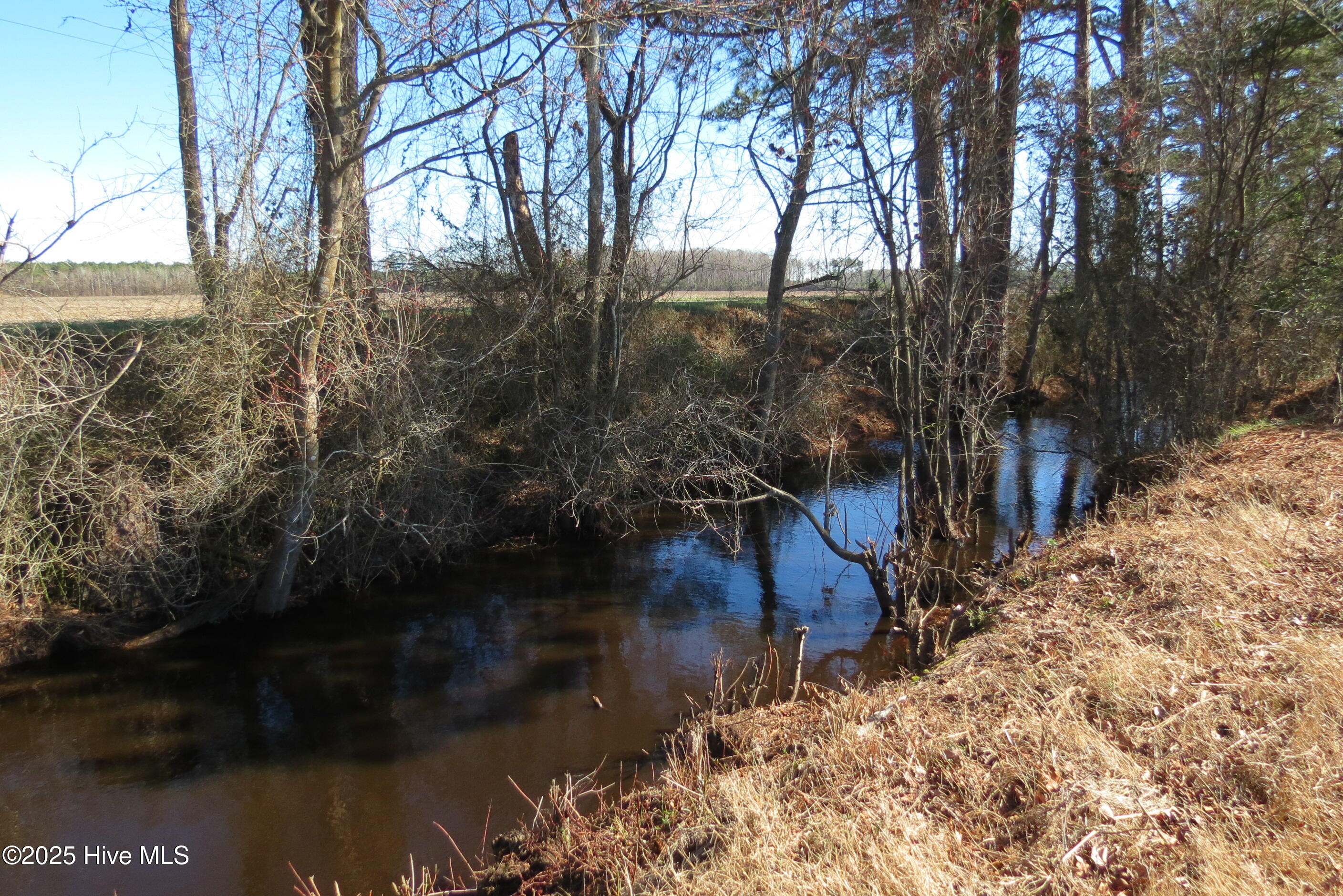 0 Neals Creek Road,Bayboro