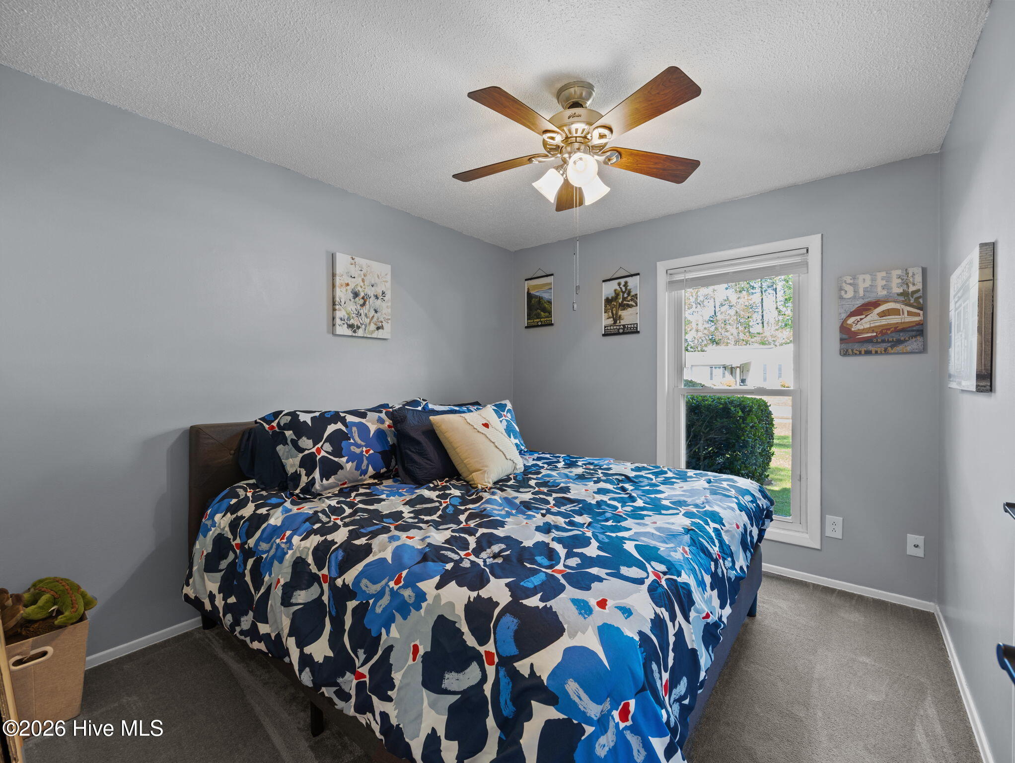 100567245 | Photo 20