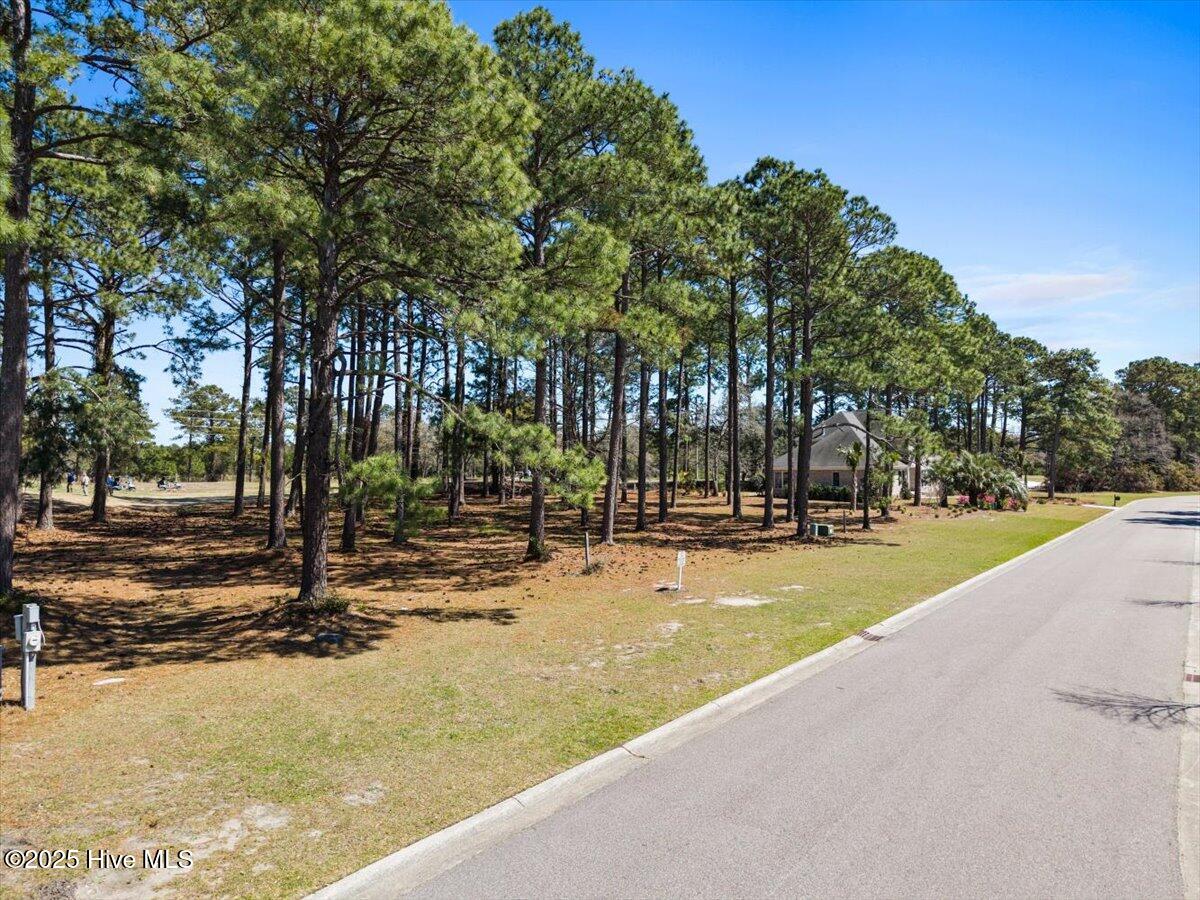 100495435 | Photo 10