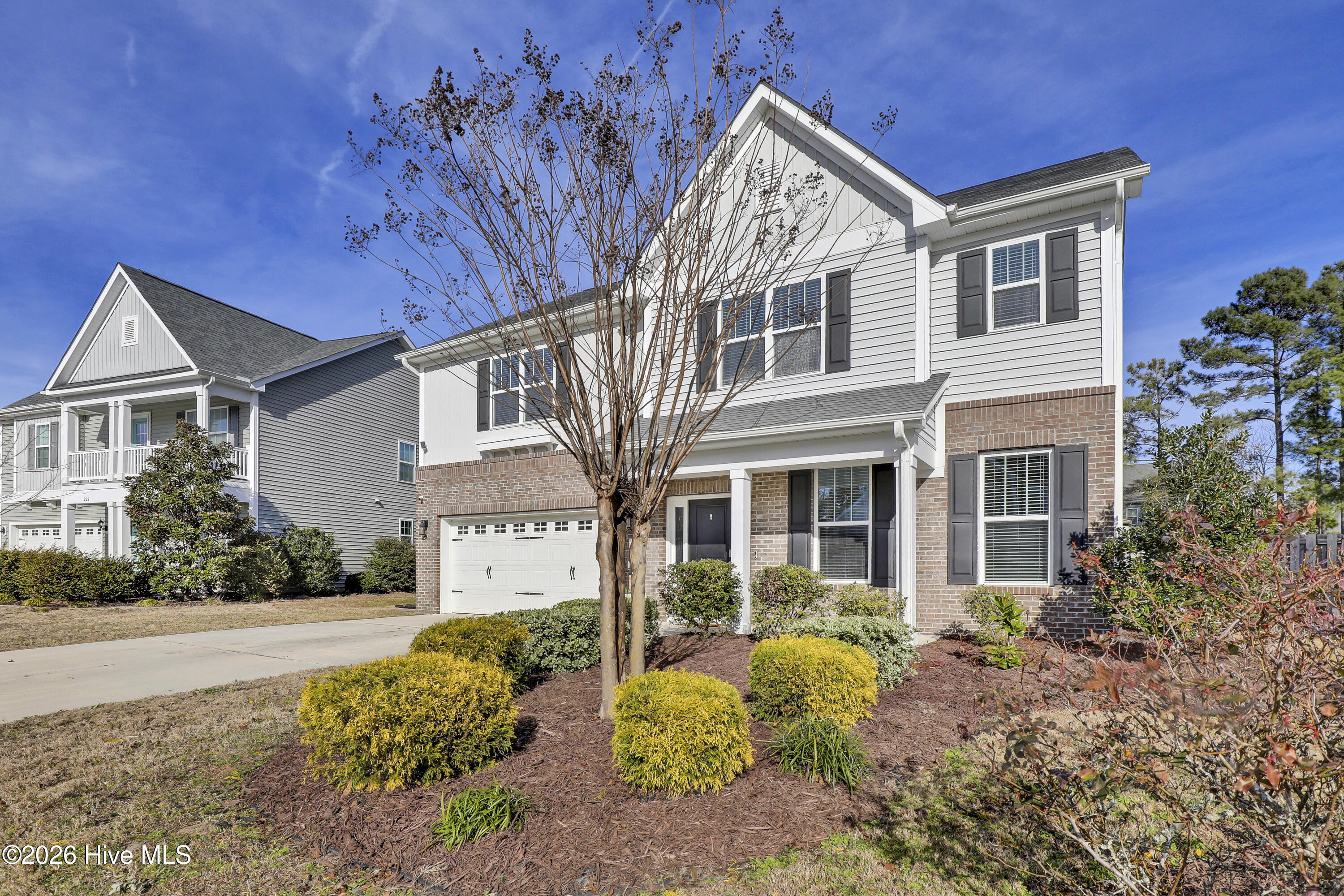 100550895 | Photo 45