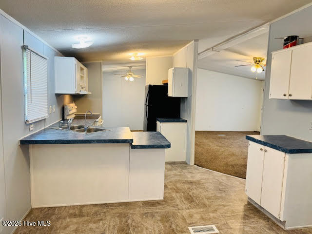 100552563 | Photo 14