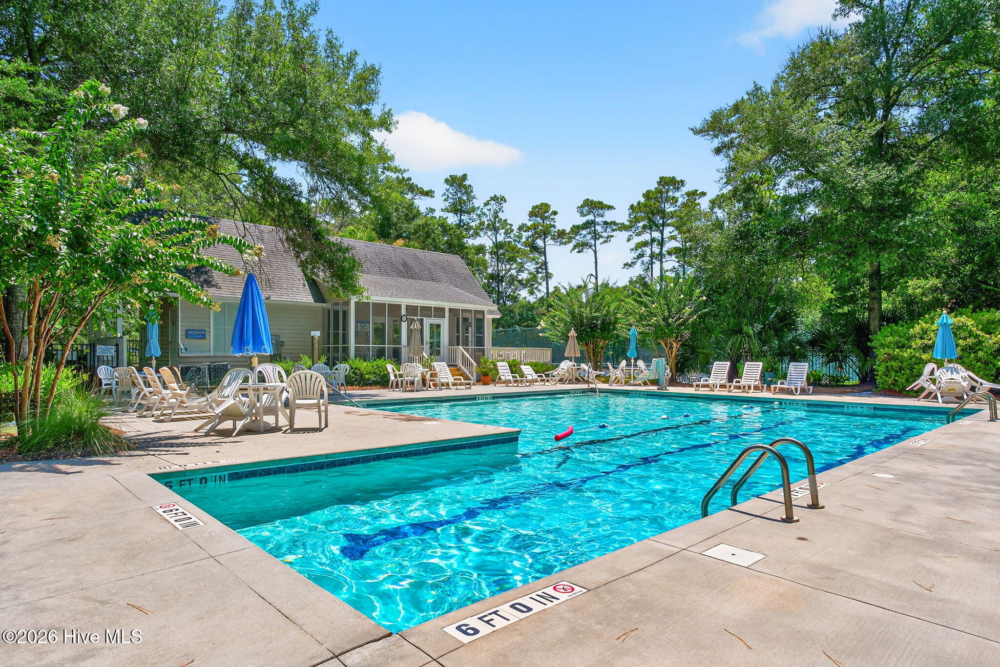 100564993 | Photo 51