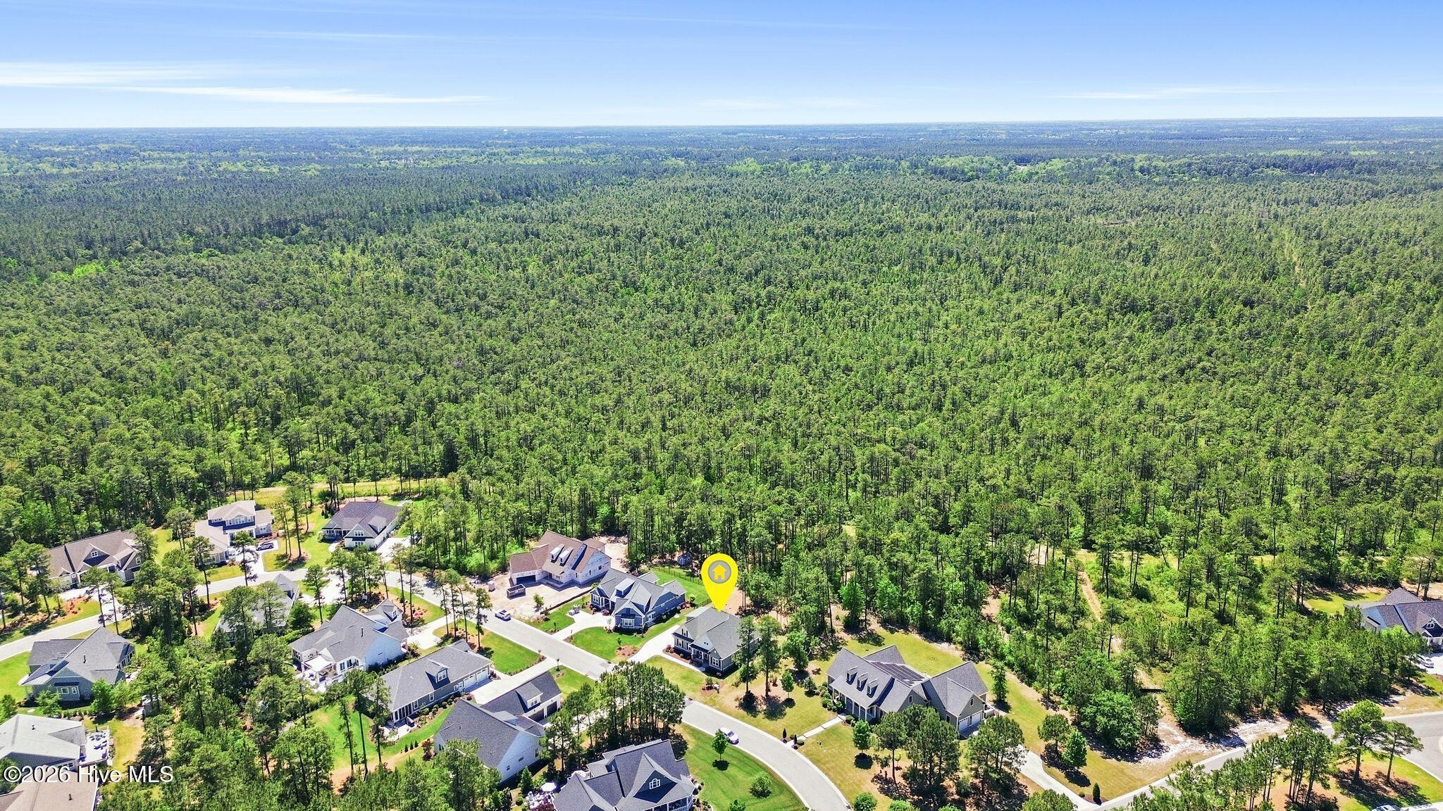 100569004 | Photo 87