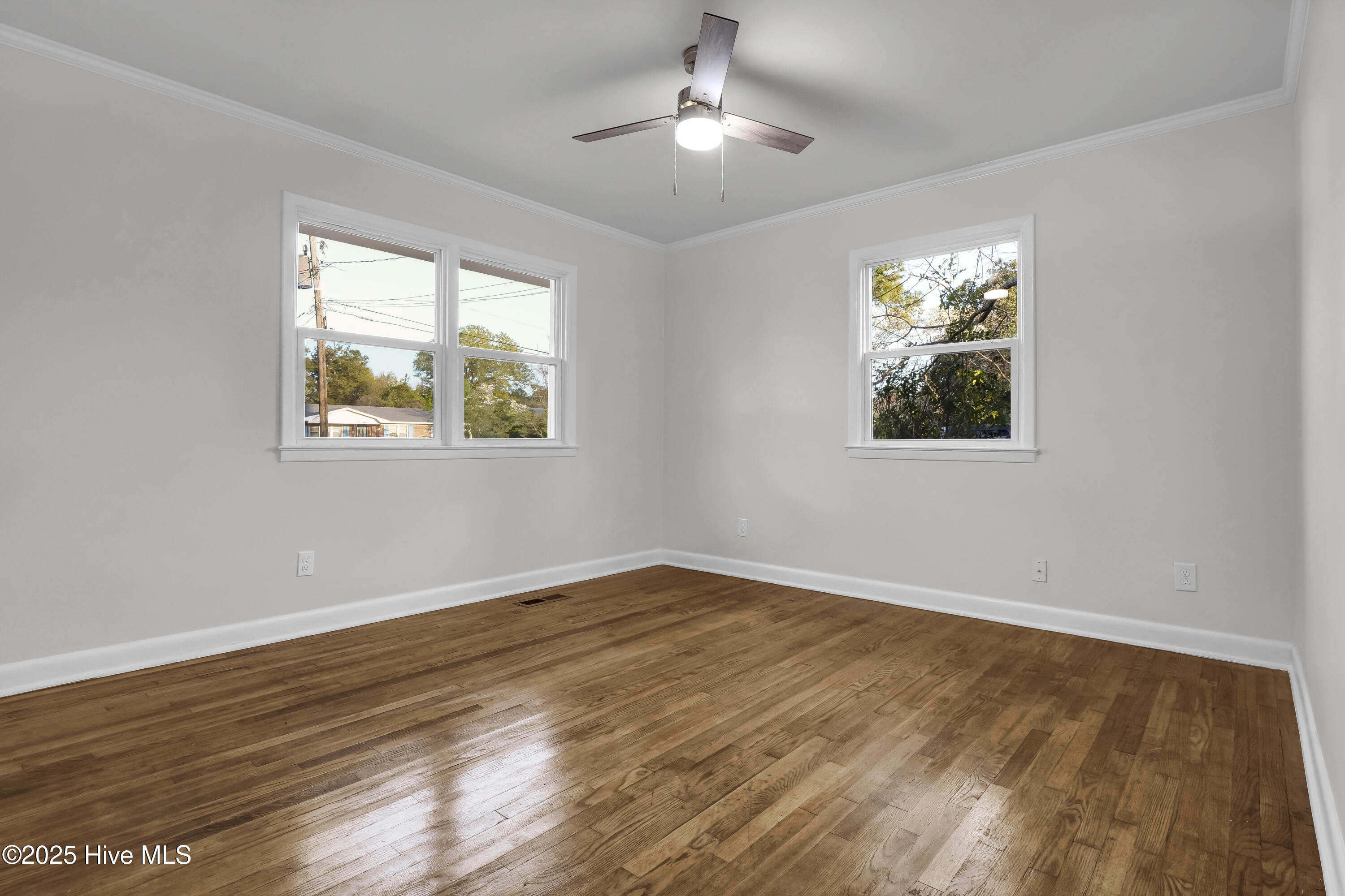 100555284 | Photo 15