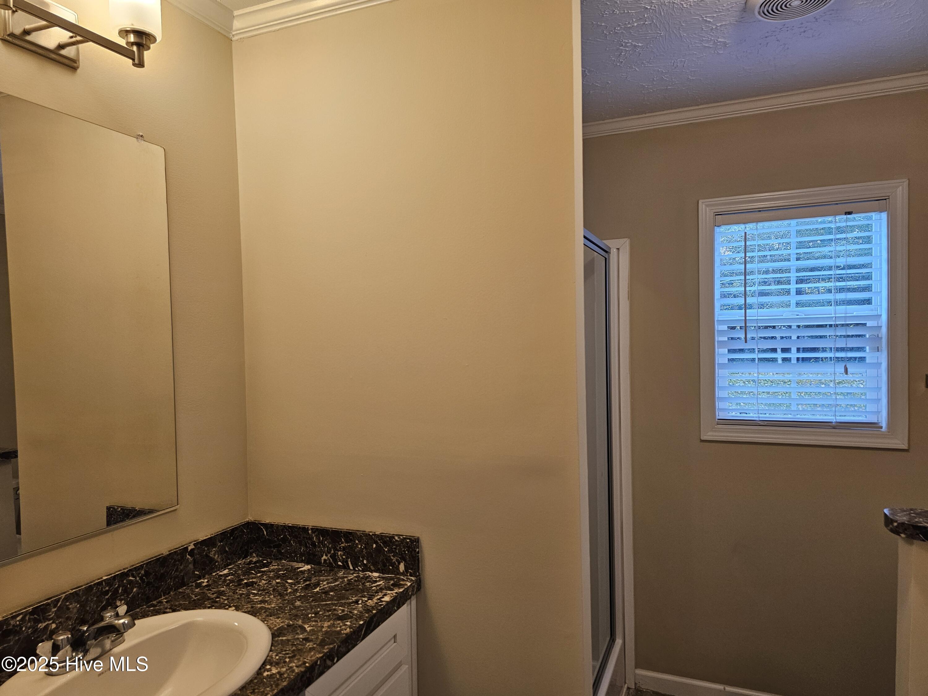 100535573 | Photo 41