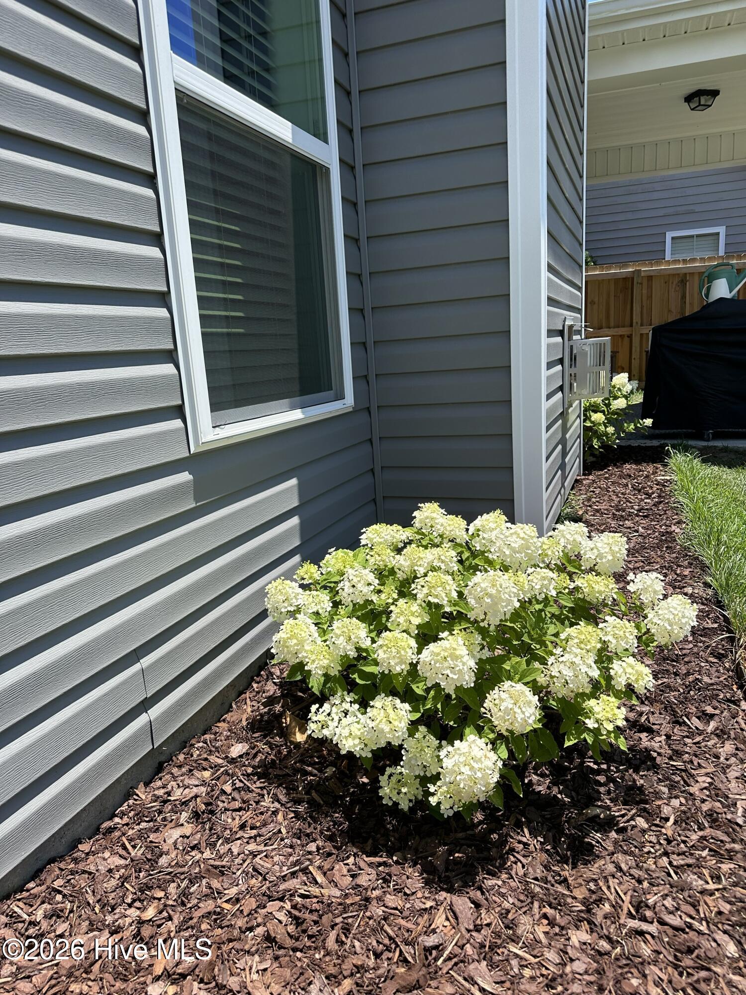 100557383 | Photo 44