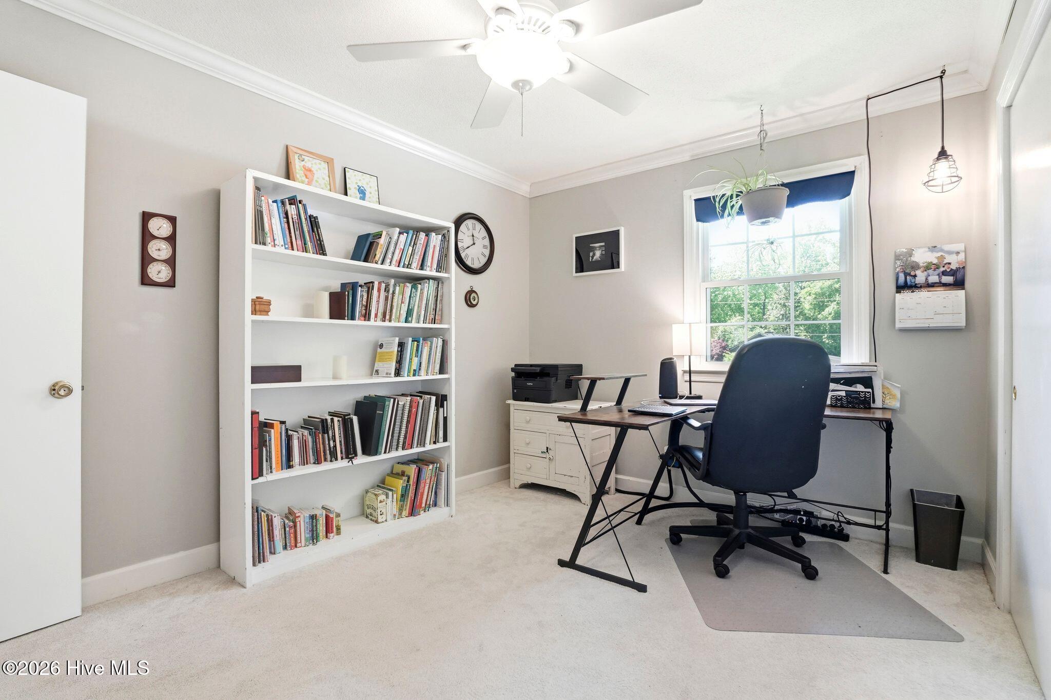 100568648 | Photo 50