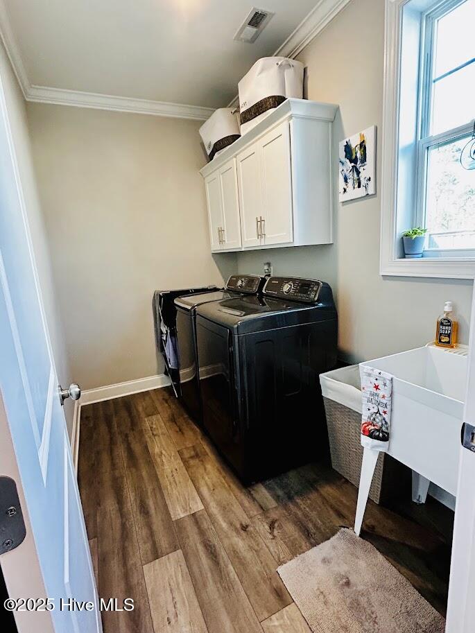 100534621 | Photo 20