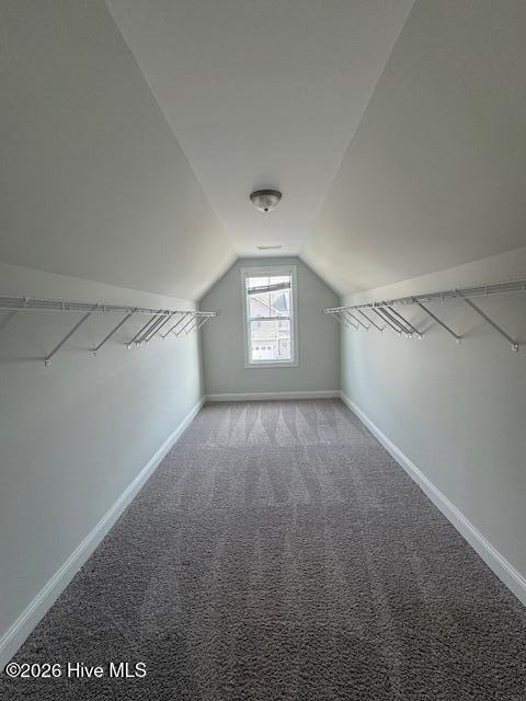 100550451 | Photo 21