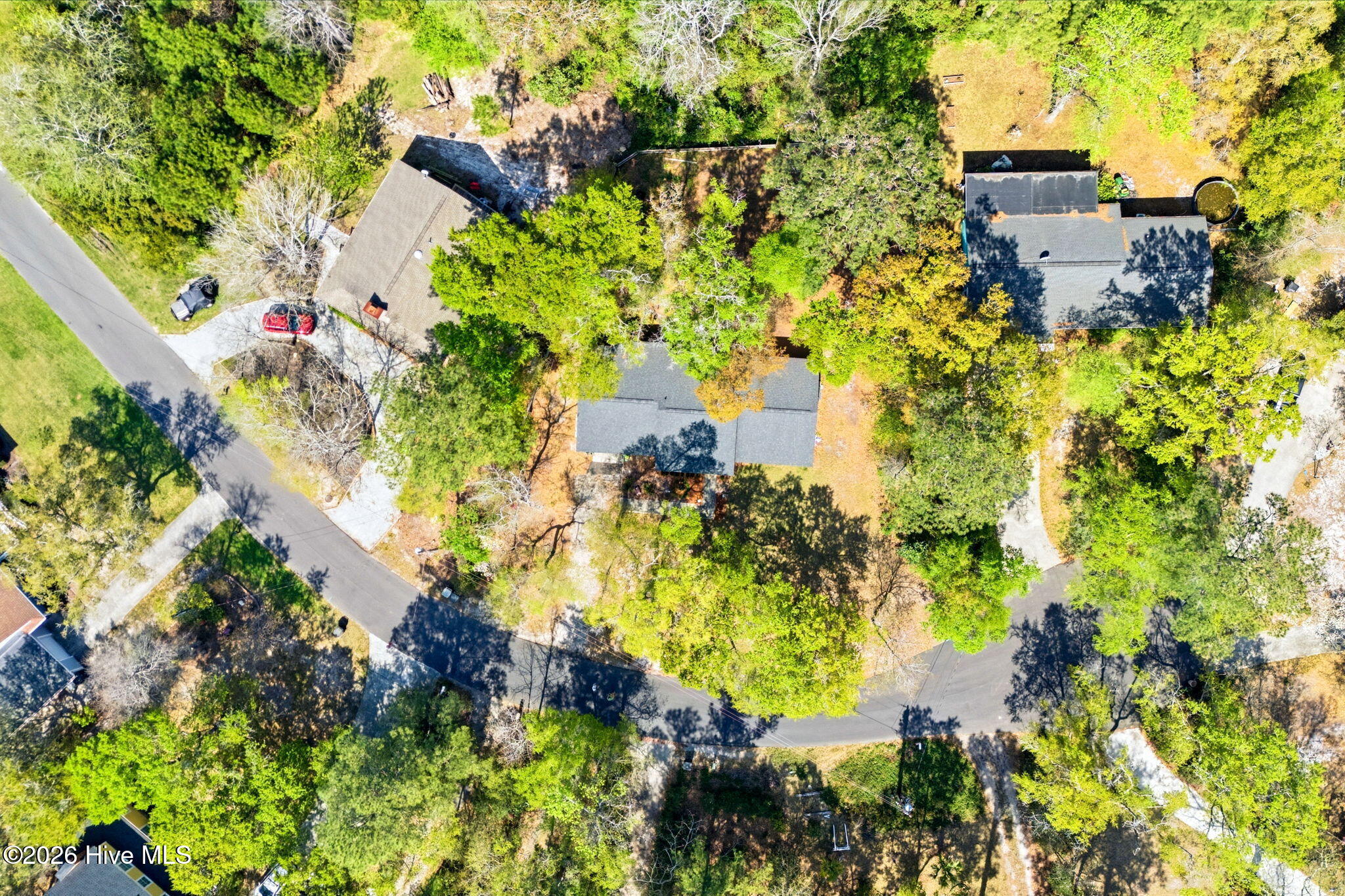 100564618 | Photo 52