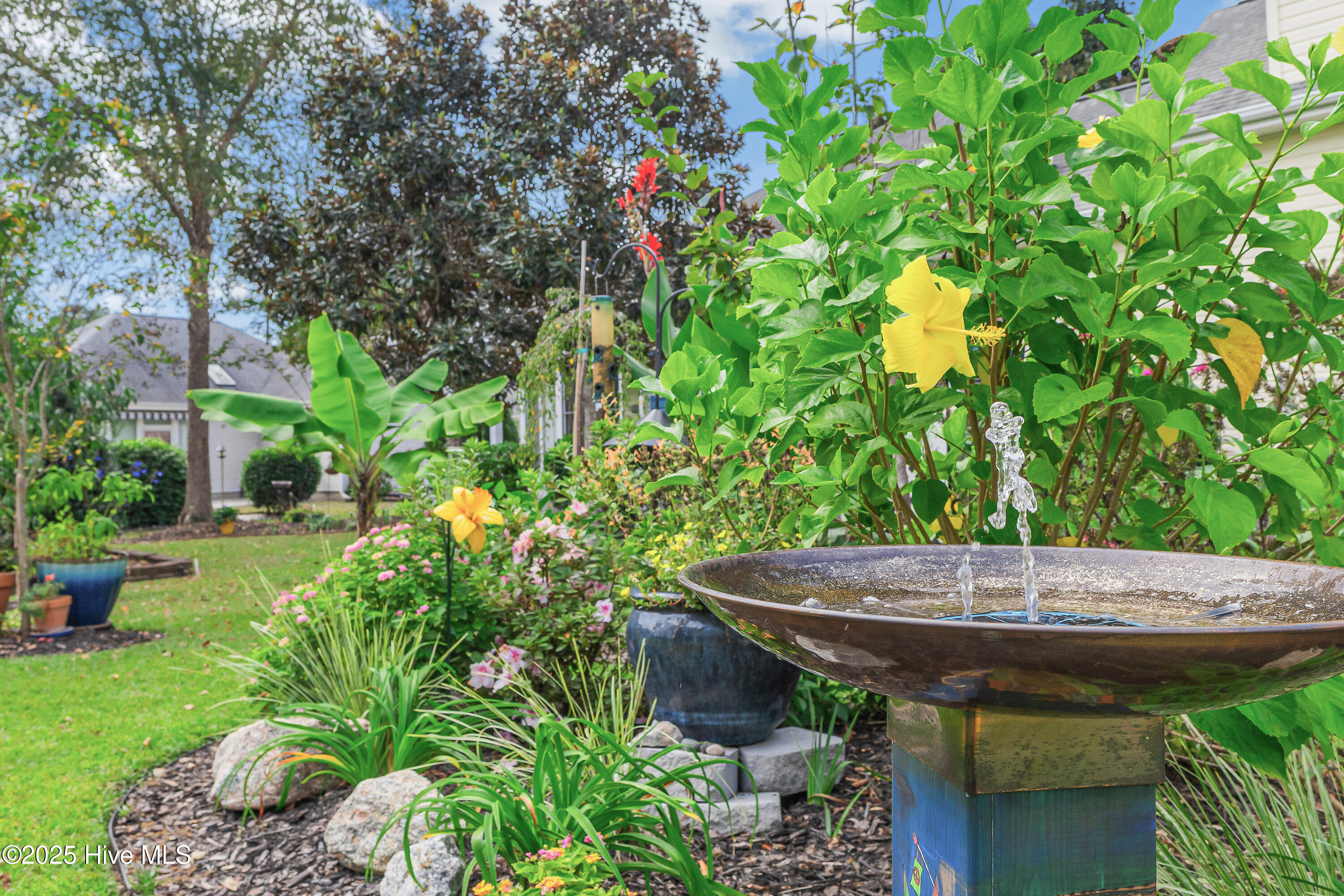 100533188 | Photo 45