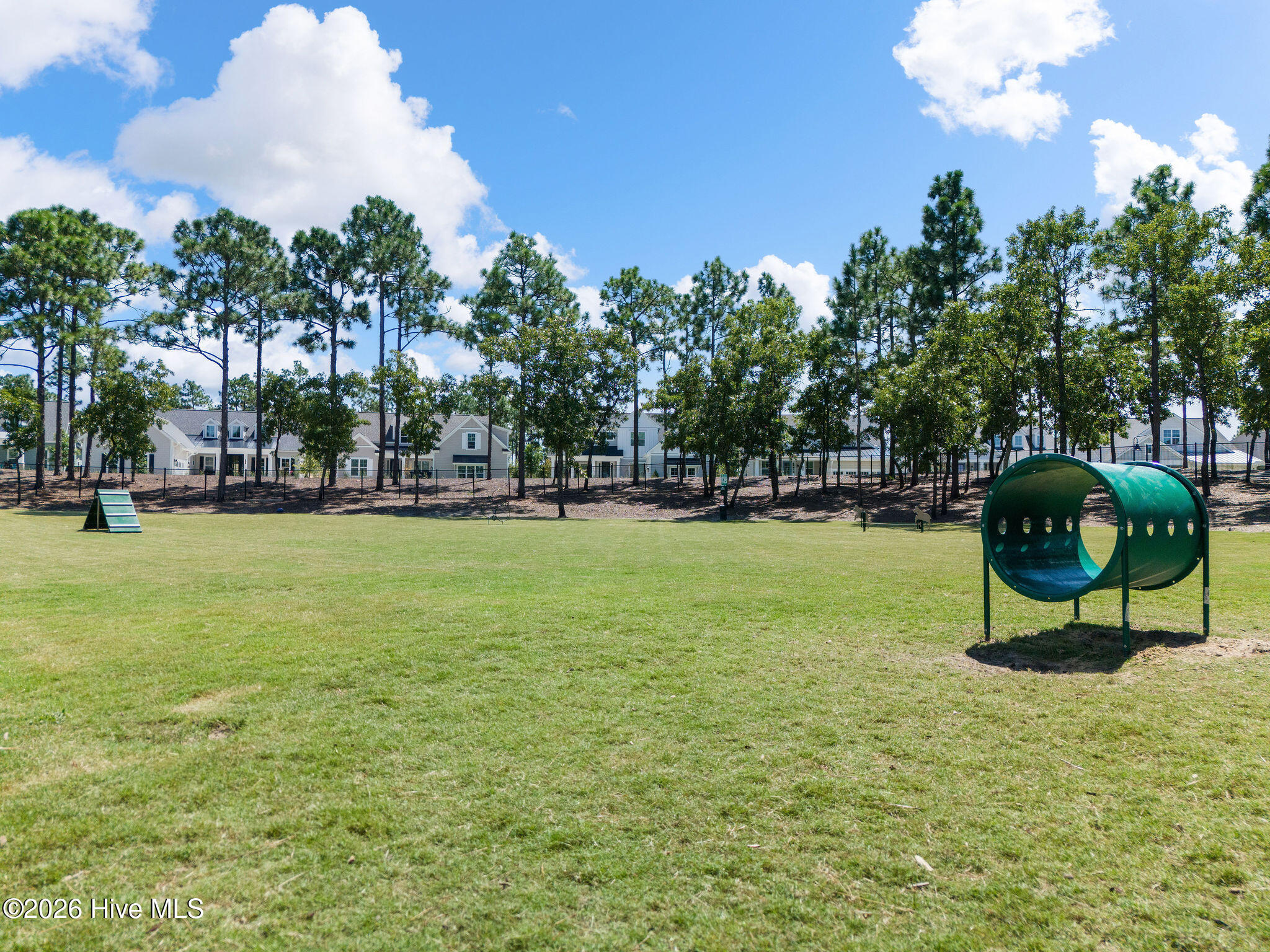 100558751 | Photo 56