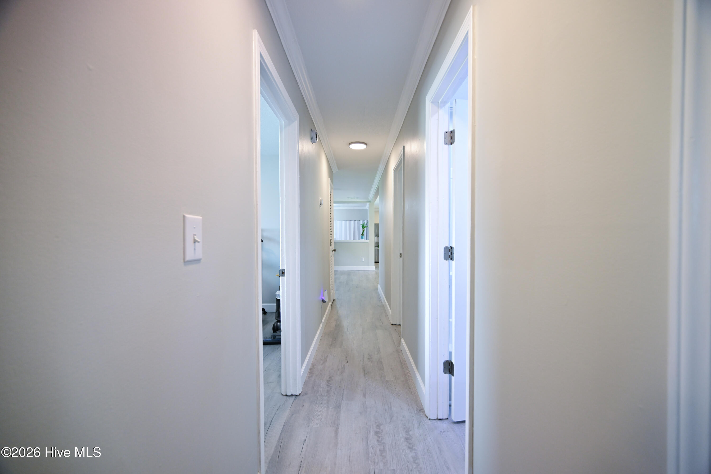 100564007 | Photo 22