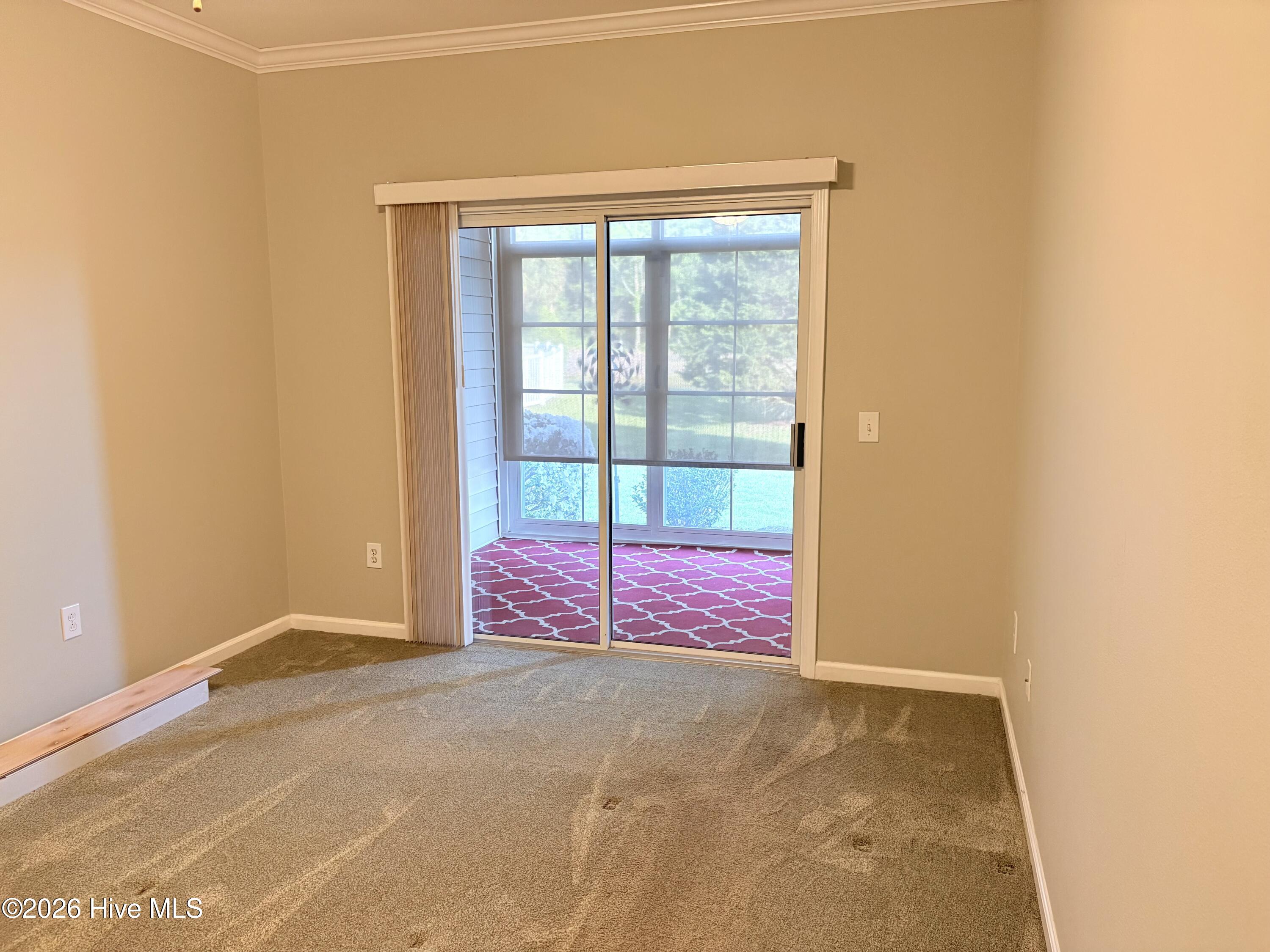 100567437 | Photo 15