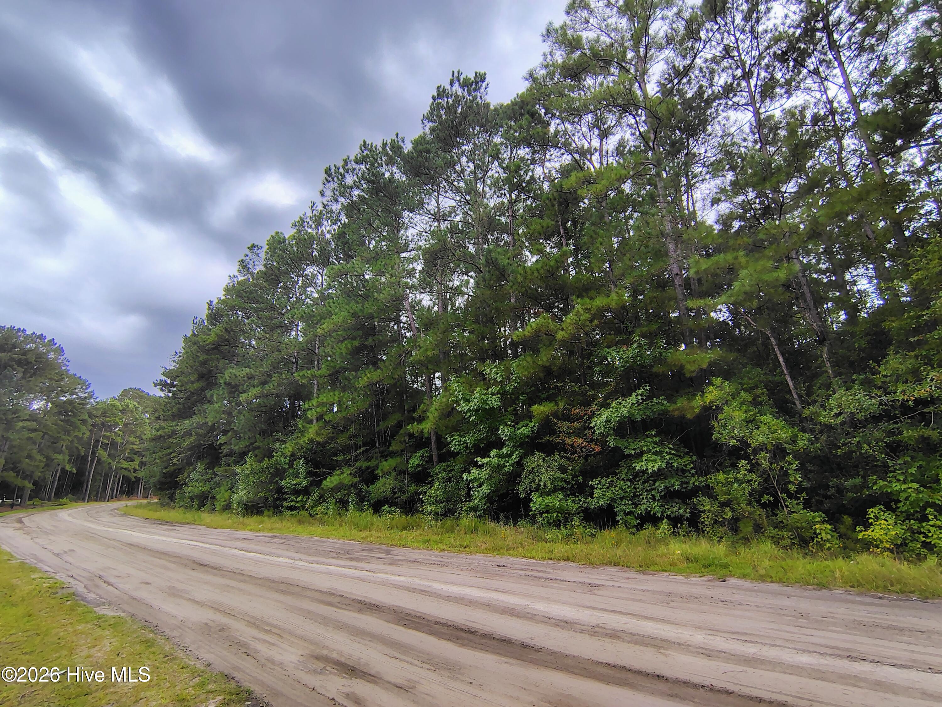 3rd image of Lot 45 Near 519 Deer Ln, Tabor City, NC 28463 | MLS# 100600263
