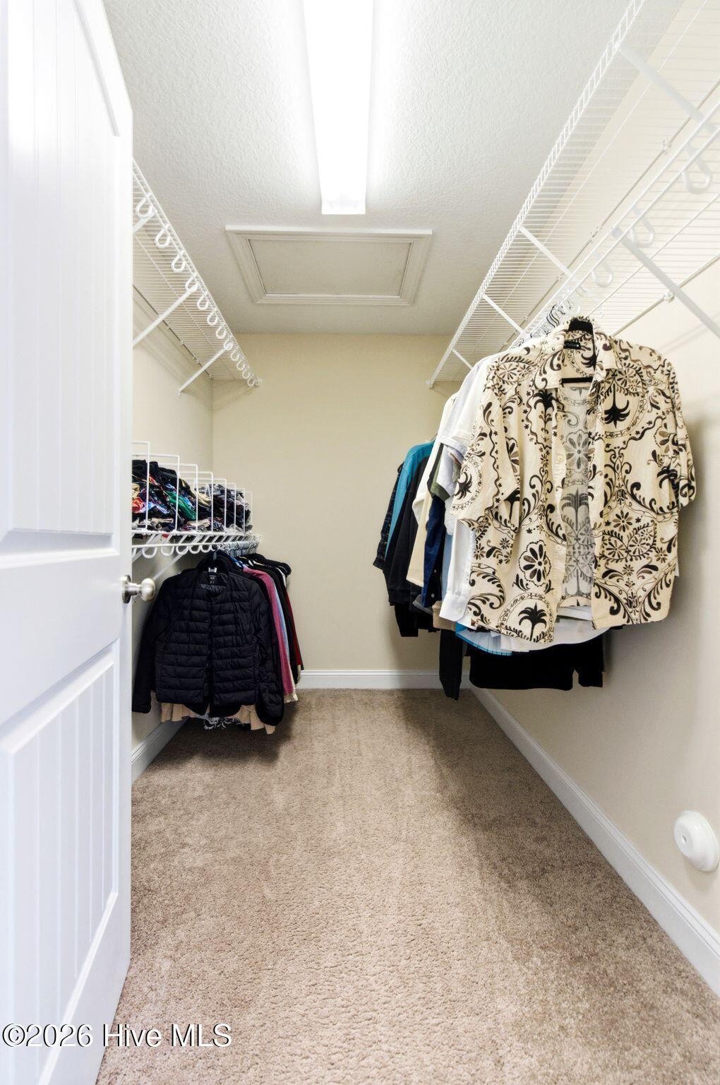 100563998 | Photo 31