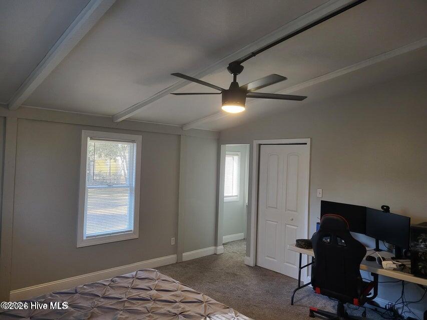 100553497 | Photo 31