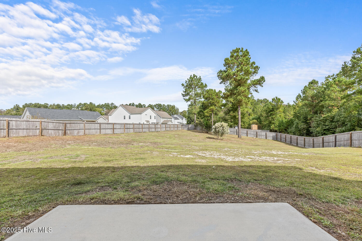 100536323 | Photo 42