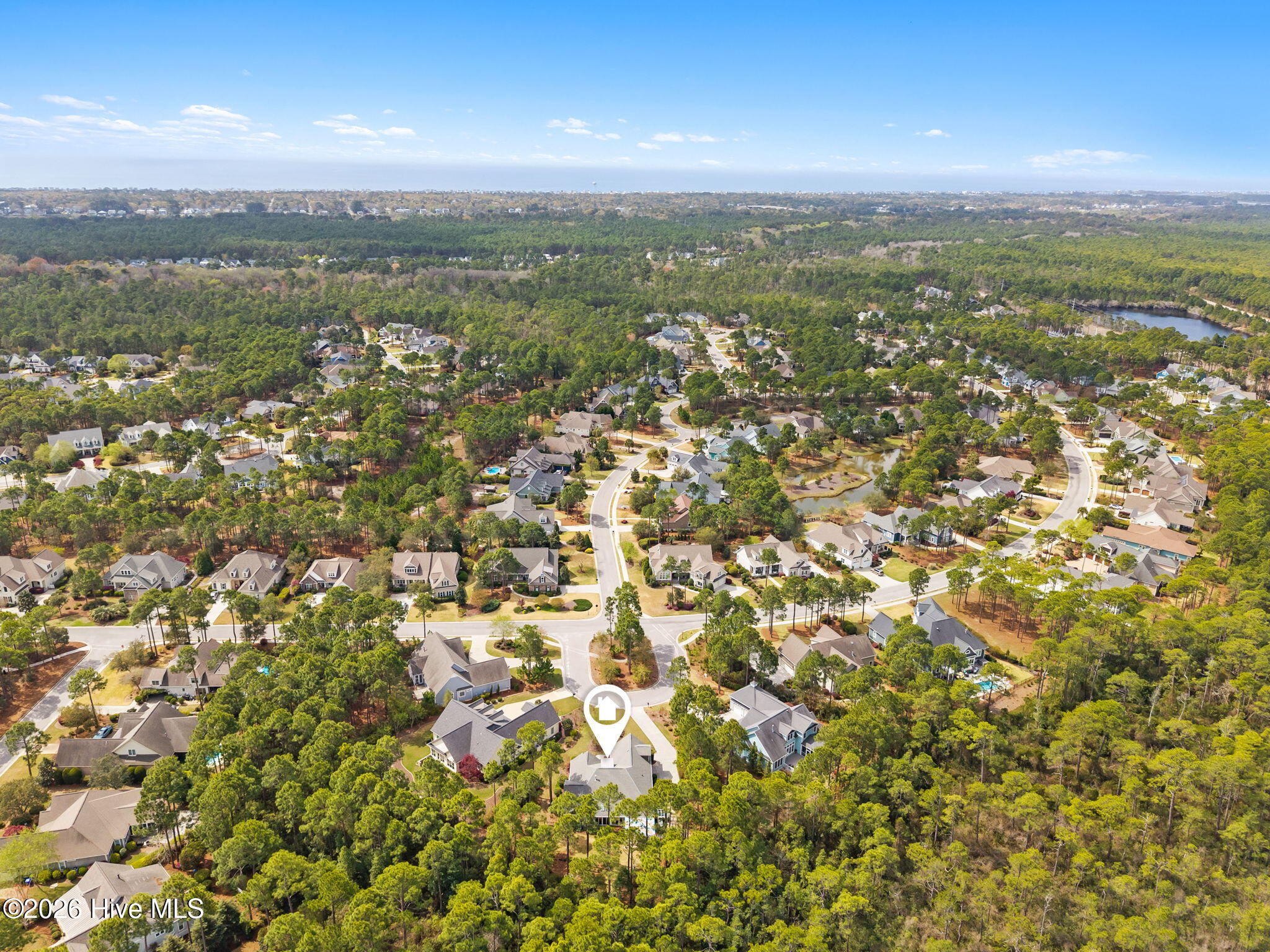 100566382 | Photo 49